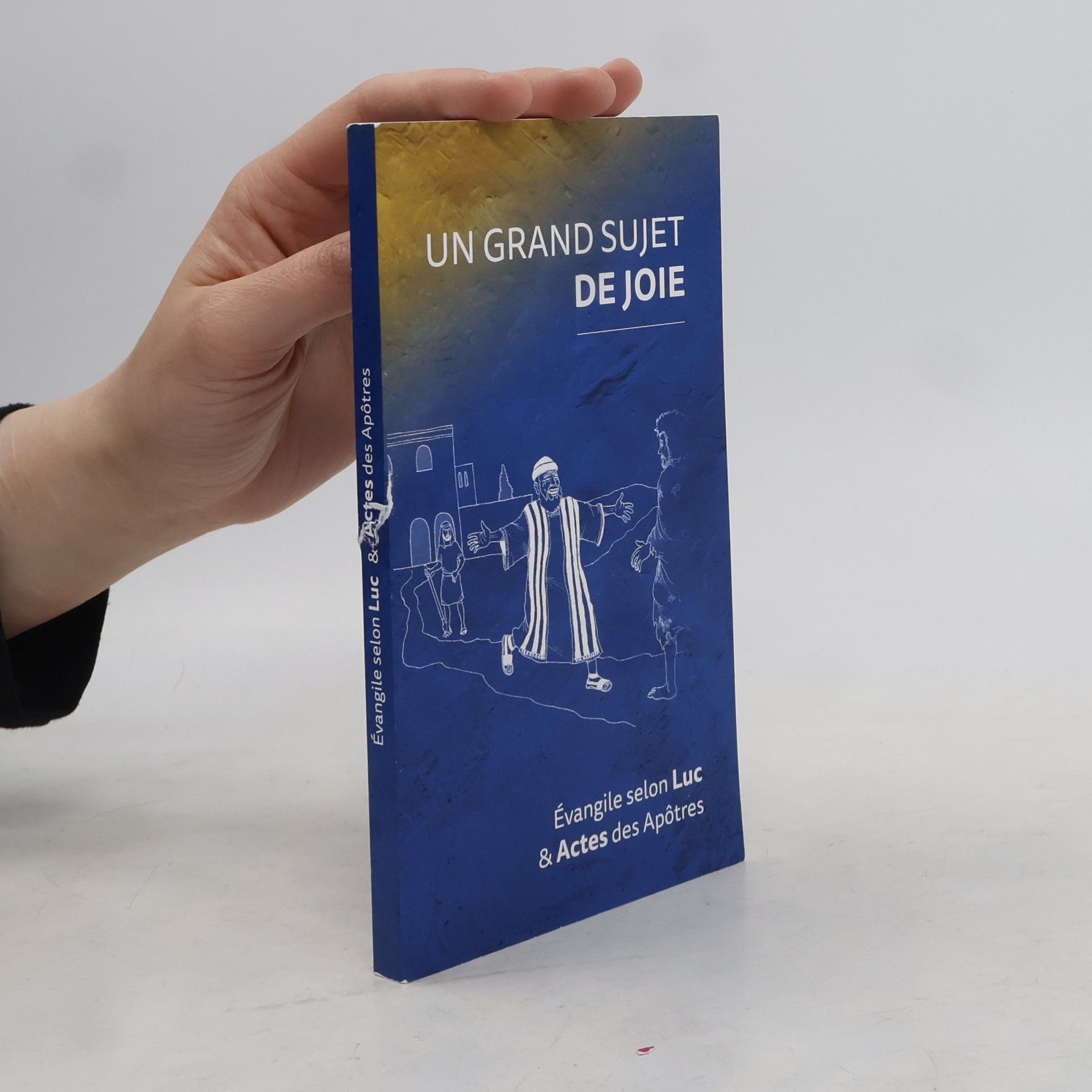 Collectif d'auteurs Un grand sujet de joie