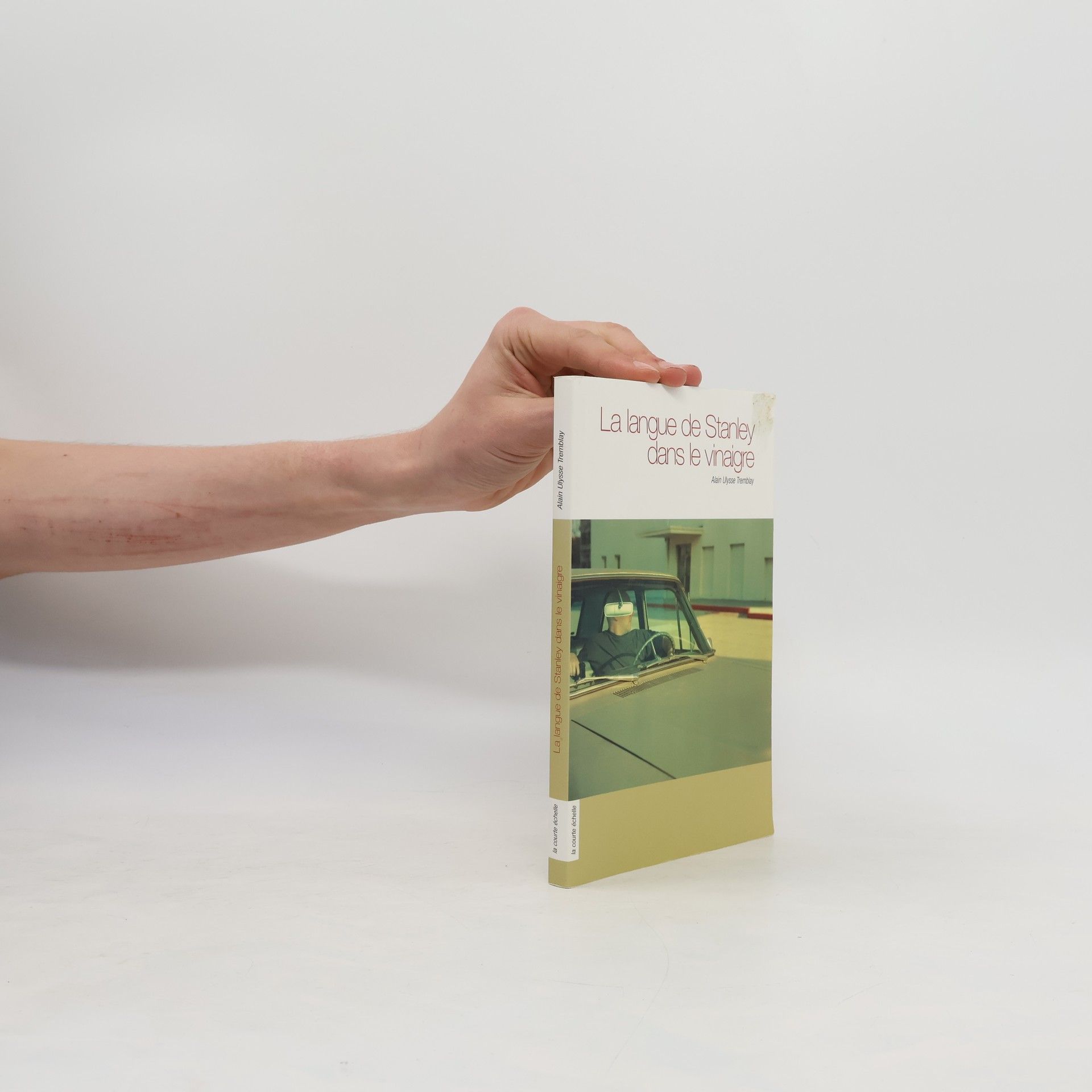 Alain Ulysse Tremblay La langue de Stanley dans le vinaigre