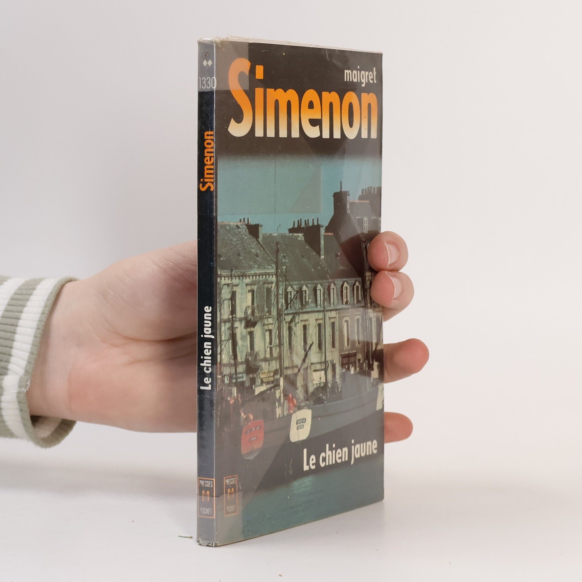 Georges Simenon Le chien jaune