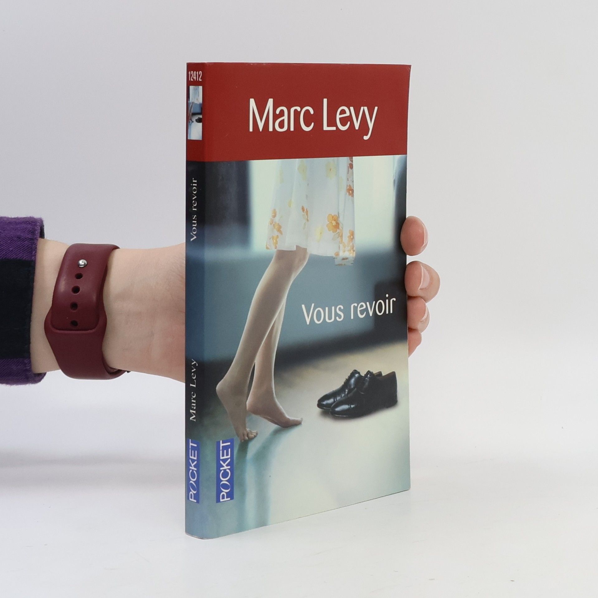 Marc Levy Vous revoir