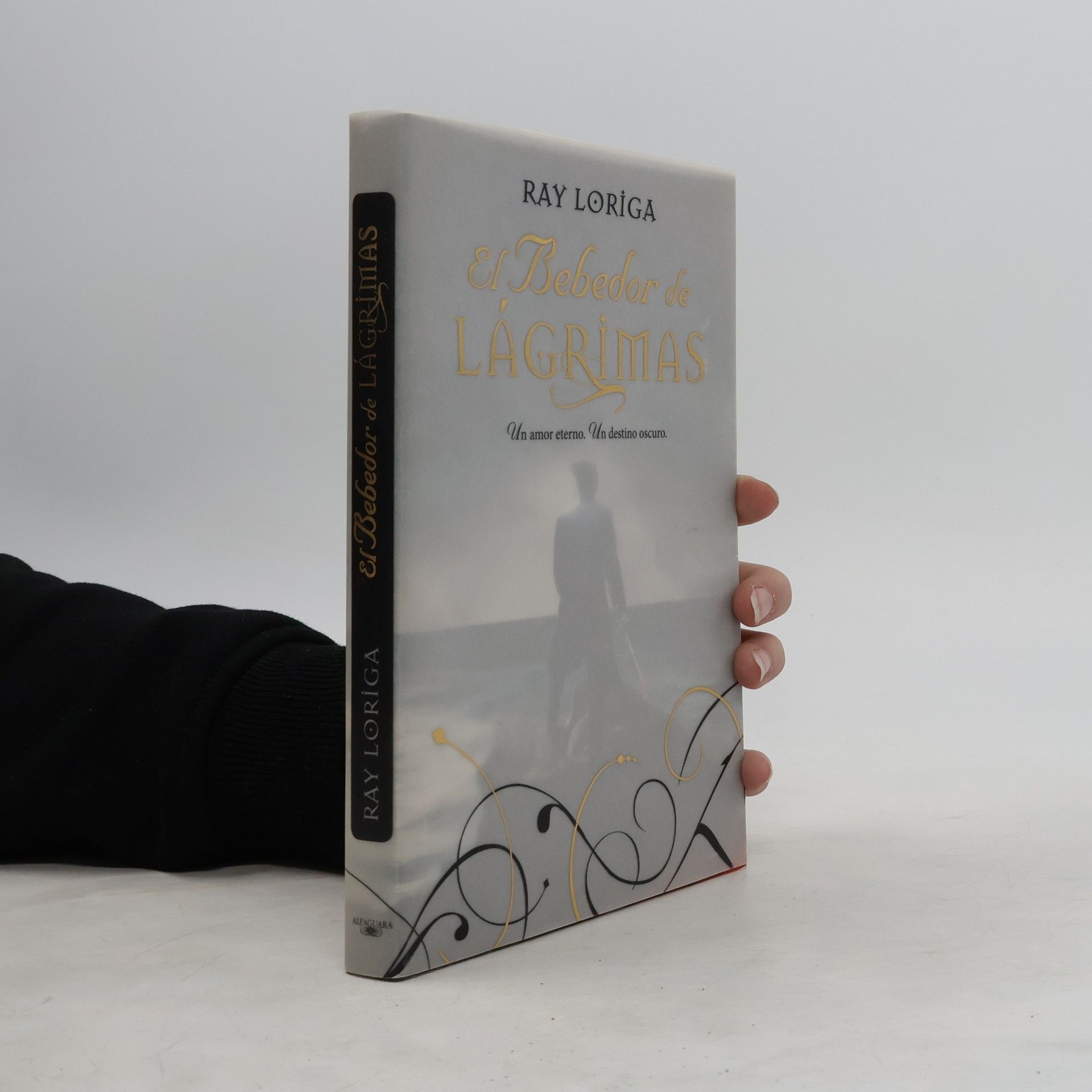 Ray Loriga El bebedor de lágrimas