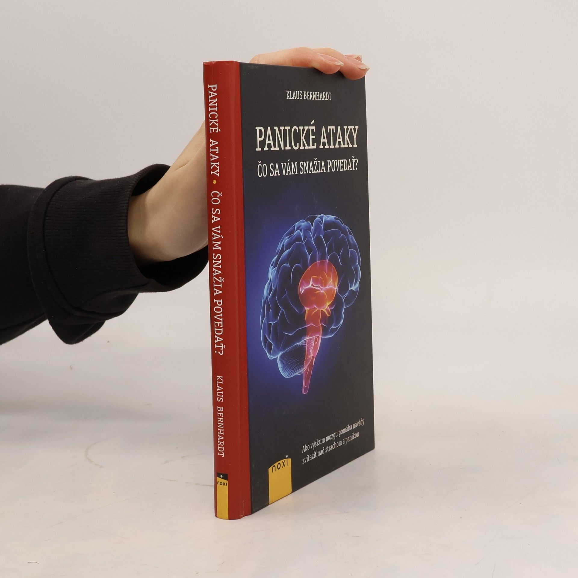 Klaus Bernhardt Panické ataky : Čo se vám snažia povedať?