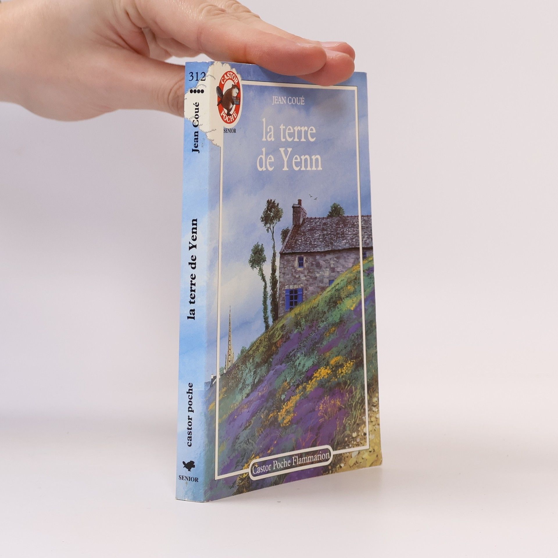 Jean Coué La terre de Yenn
