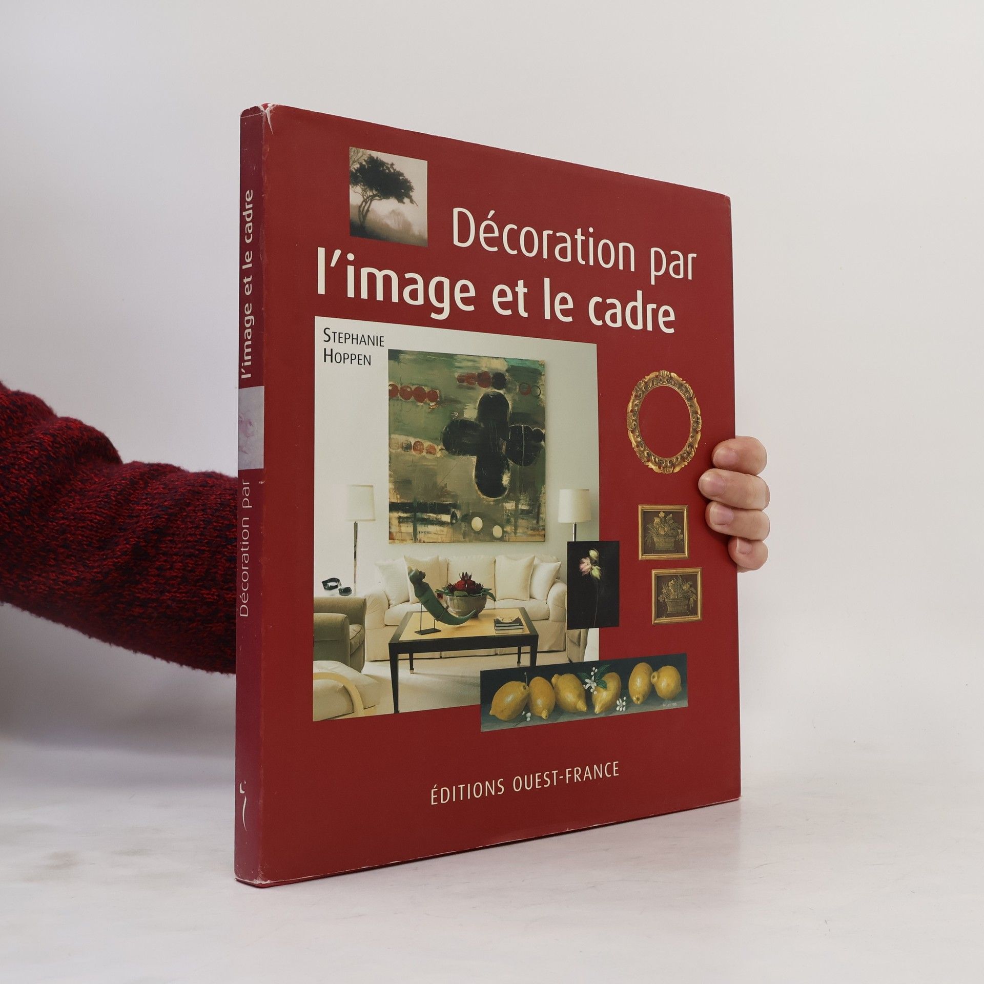 Stephanie Hoppen La décoration par l'image et le cadre