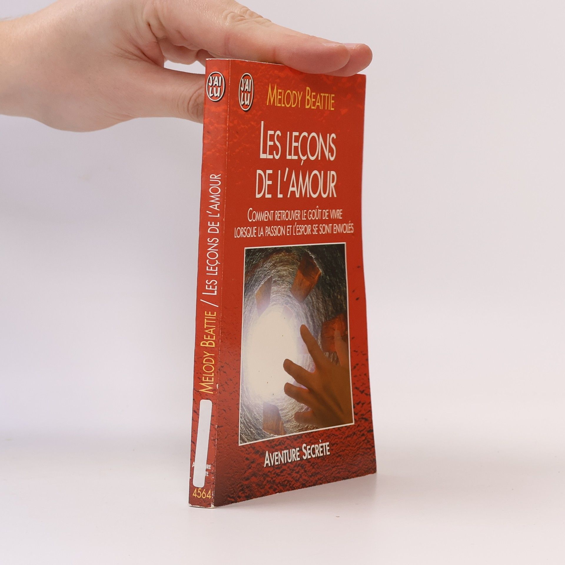 Melody Beattie Les Leçons de l'amour