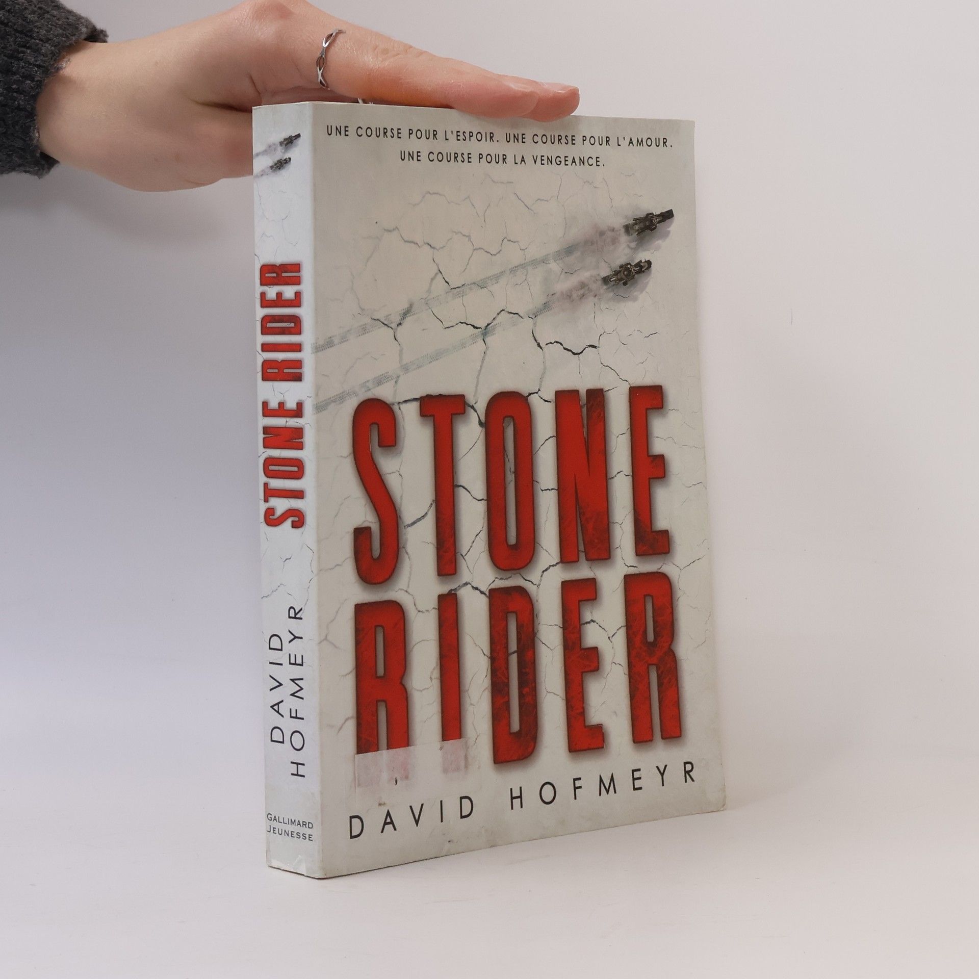 Stone Rider