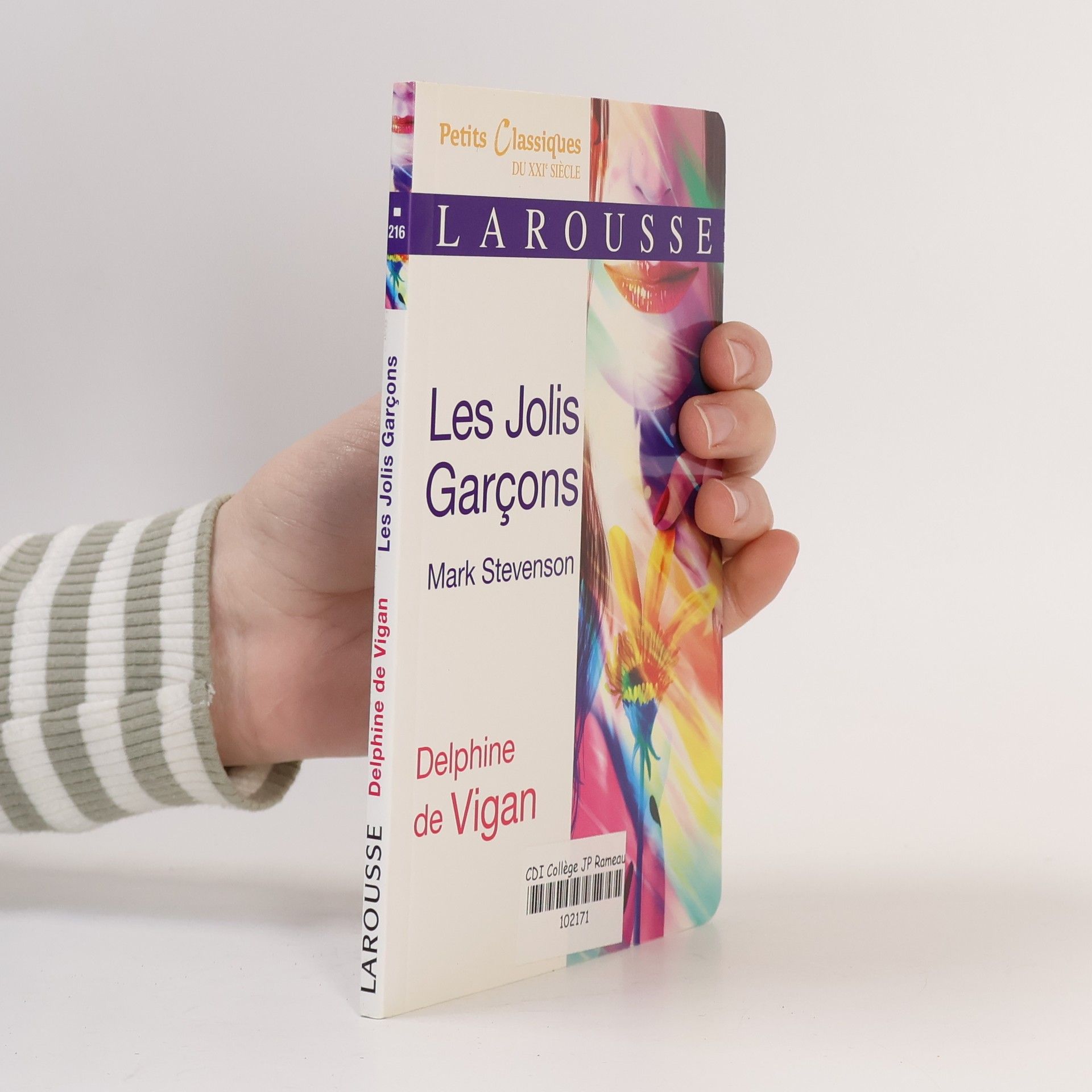 Delphine de Vigan Les jolis garçons