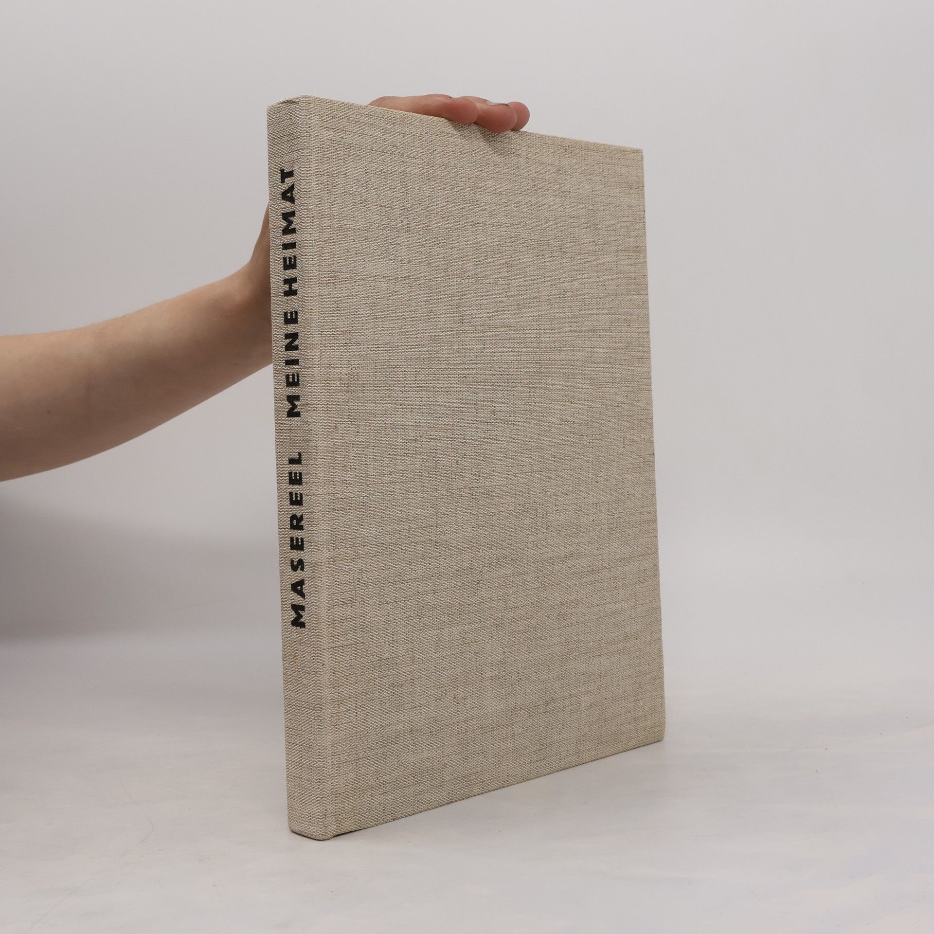 Frans Masereel Meine Heimat