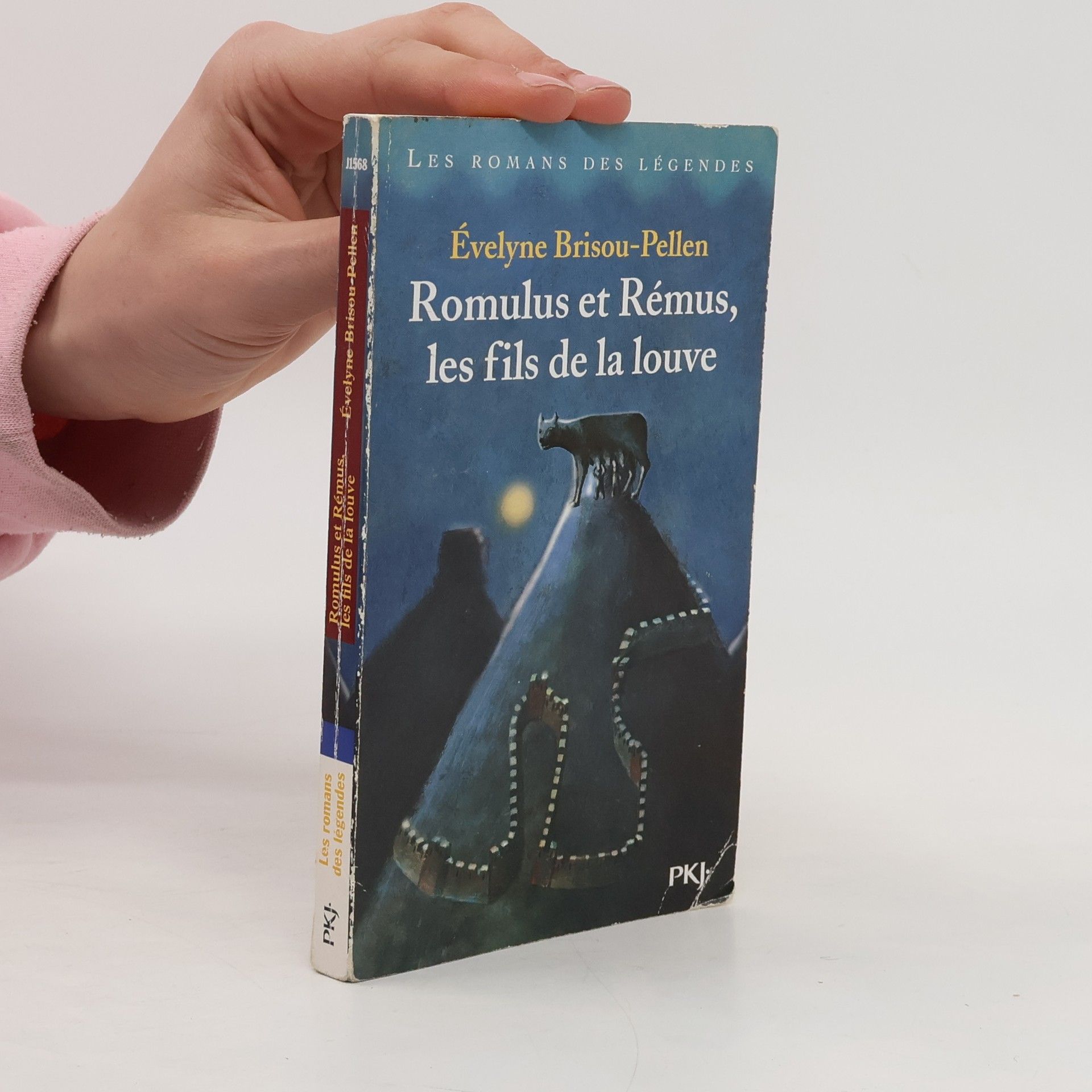 Les romans des légendes. Romulus et Rémus, les fils de la louve