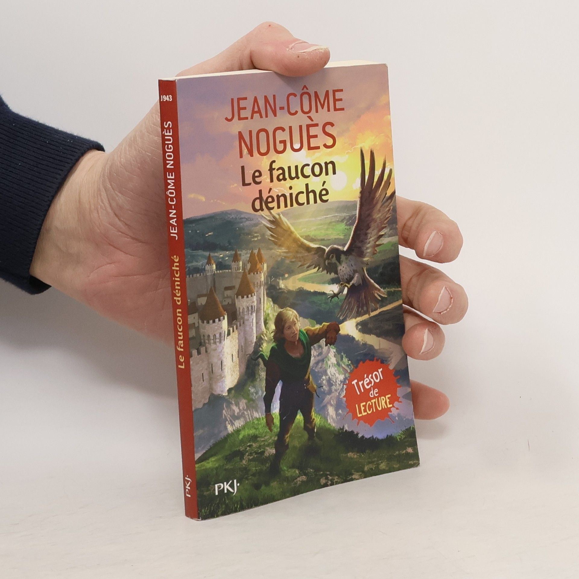 Jean-Côme Noguès La faucon deniche