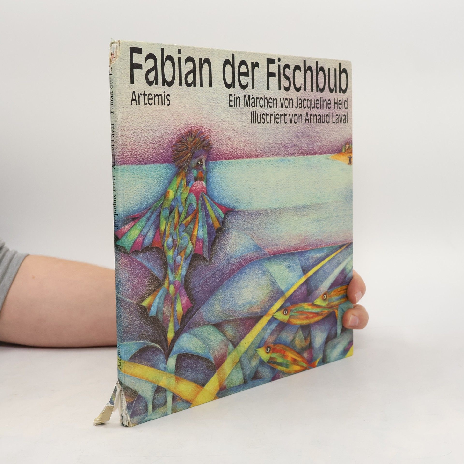 Arnaud Laval Fabian der Fischbub