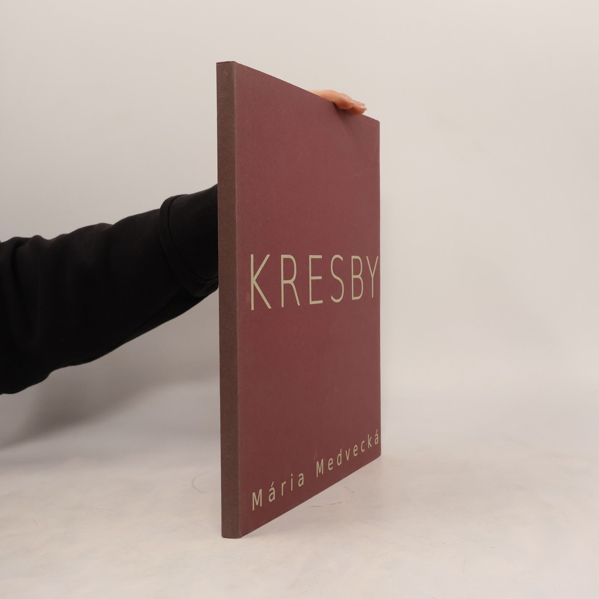 Mária Medvedecká Kresby