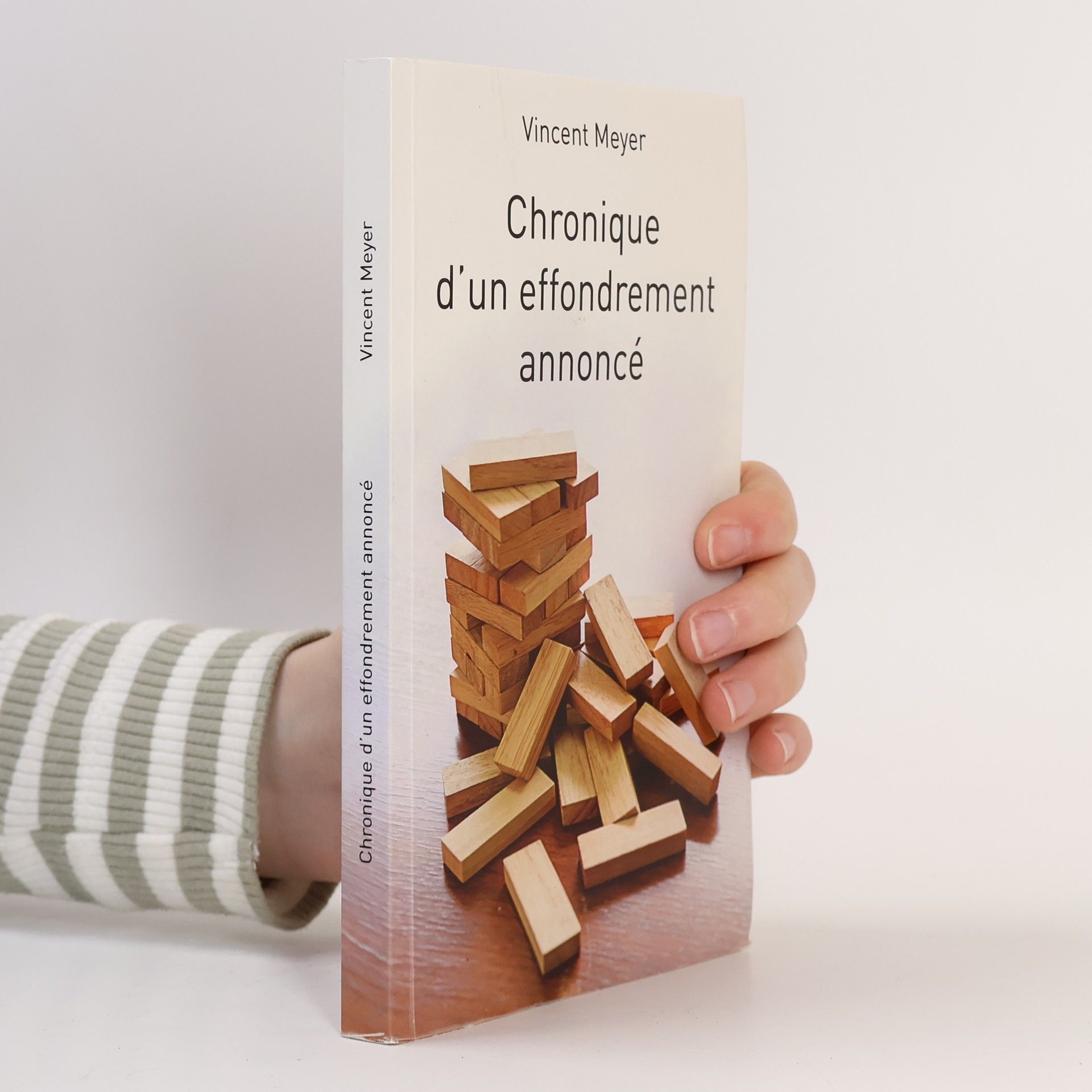 Vincent Meyer Chronique d'un effondrement annoncé