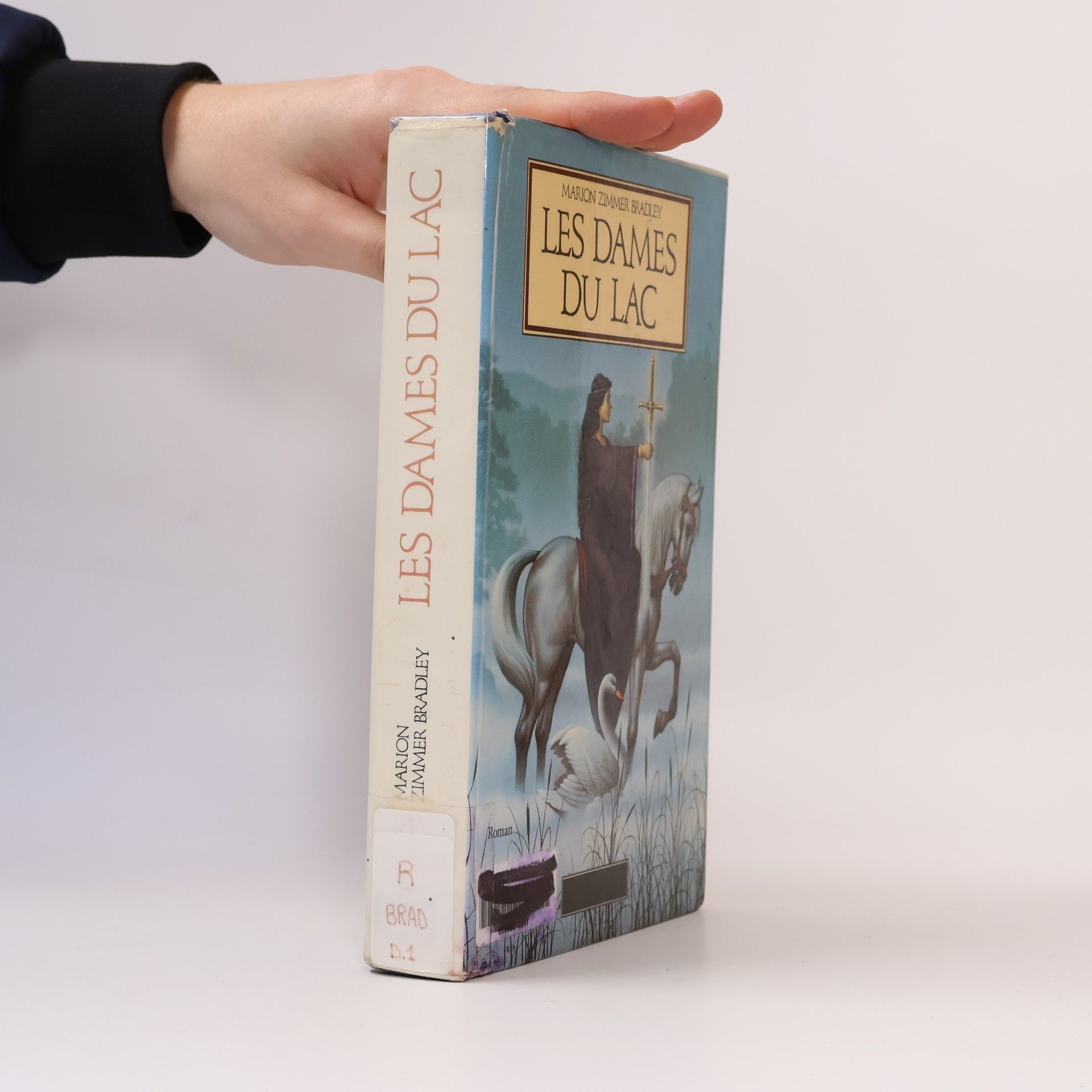 Brigitte Chabrol Les Dames du Lac