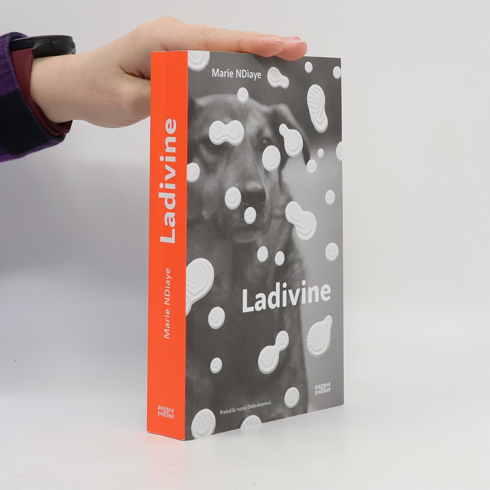 Marie NDiaye Ladivine