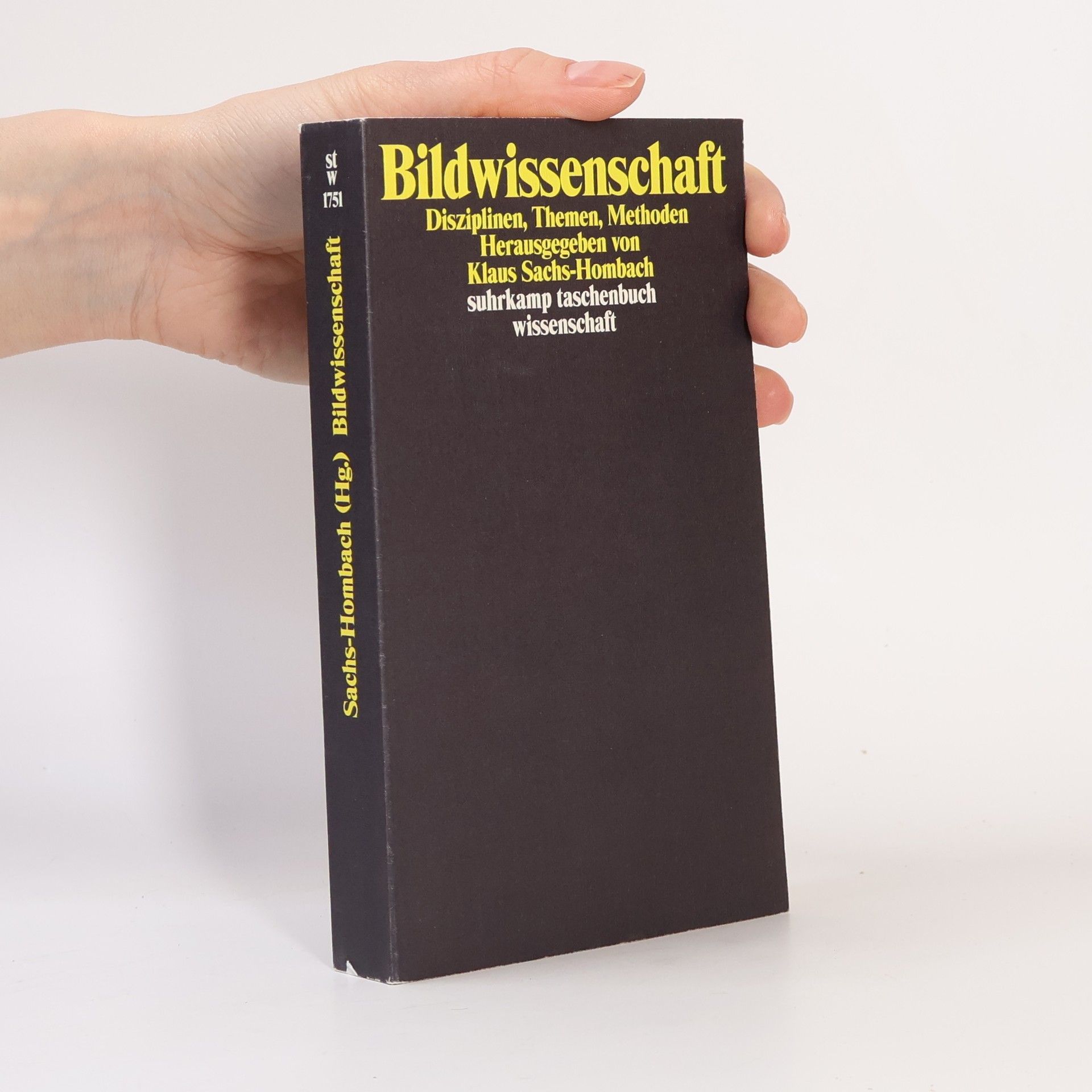 Klaus Sachs Hombach Bildwissenschaft