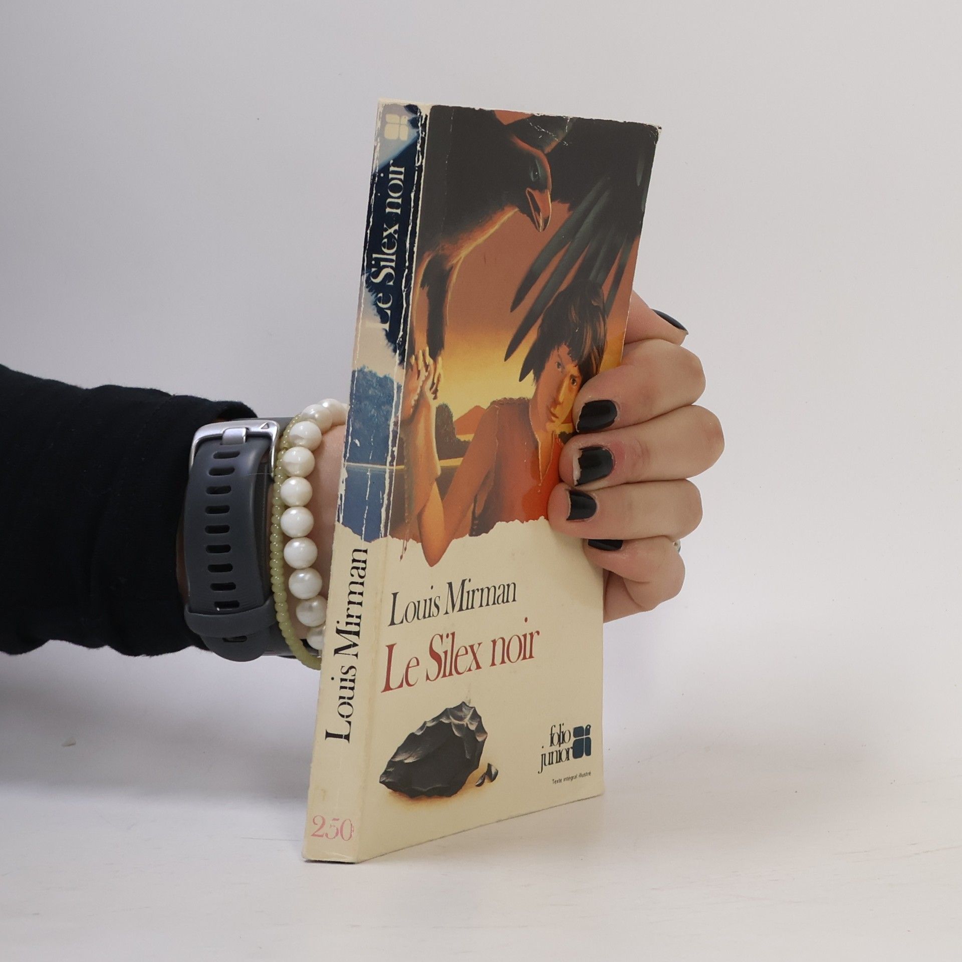 Louis Mirman Le silex noir