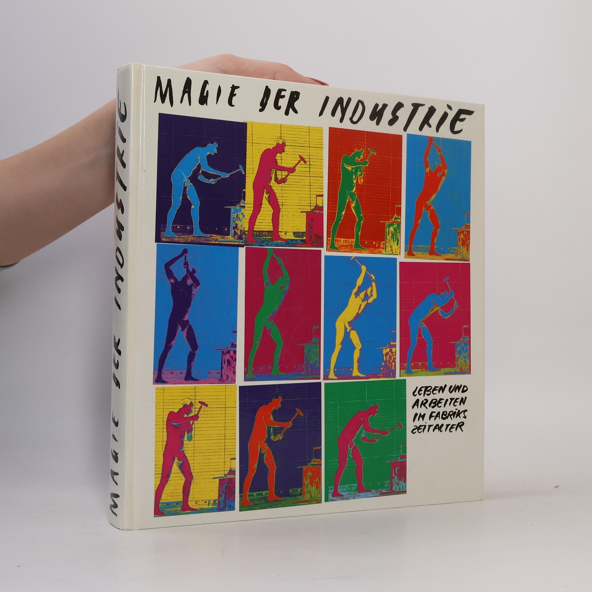 Autorenkollektiv Leben und Arbeiten im Fabrikszeitalter. Magie der Industrie