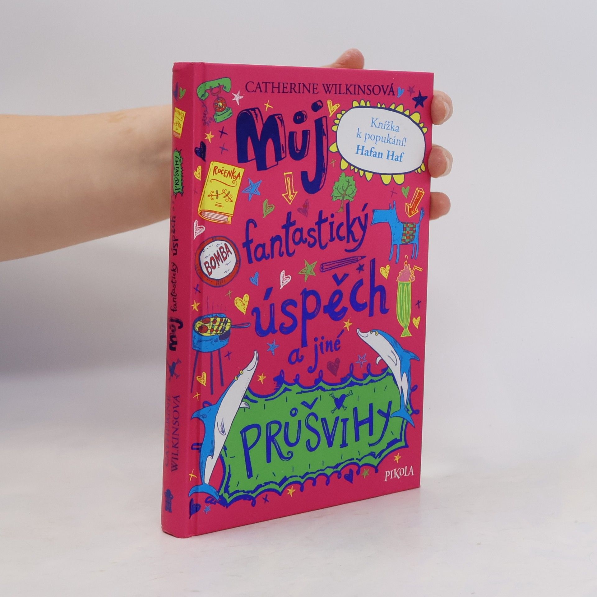 Můj fantastický úspěch a jiné průšvihy