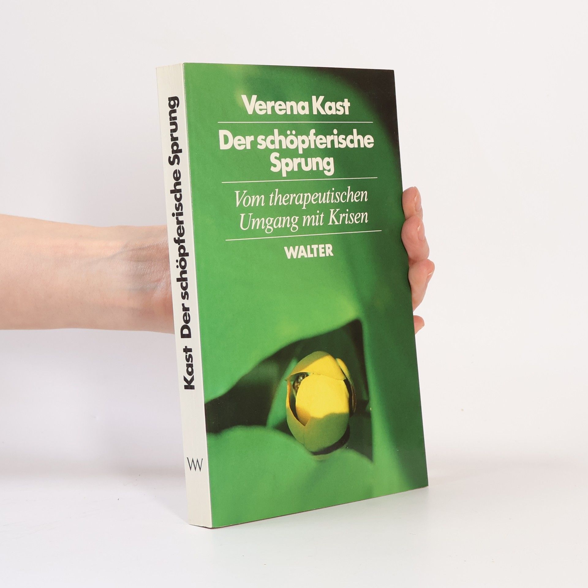 Verena Kast Der schöpferische Sprung