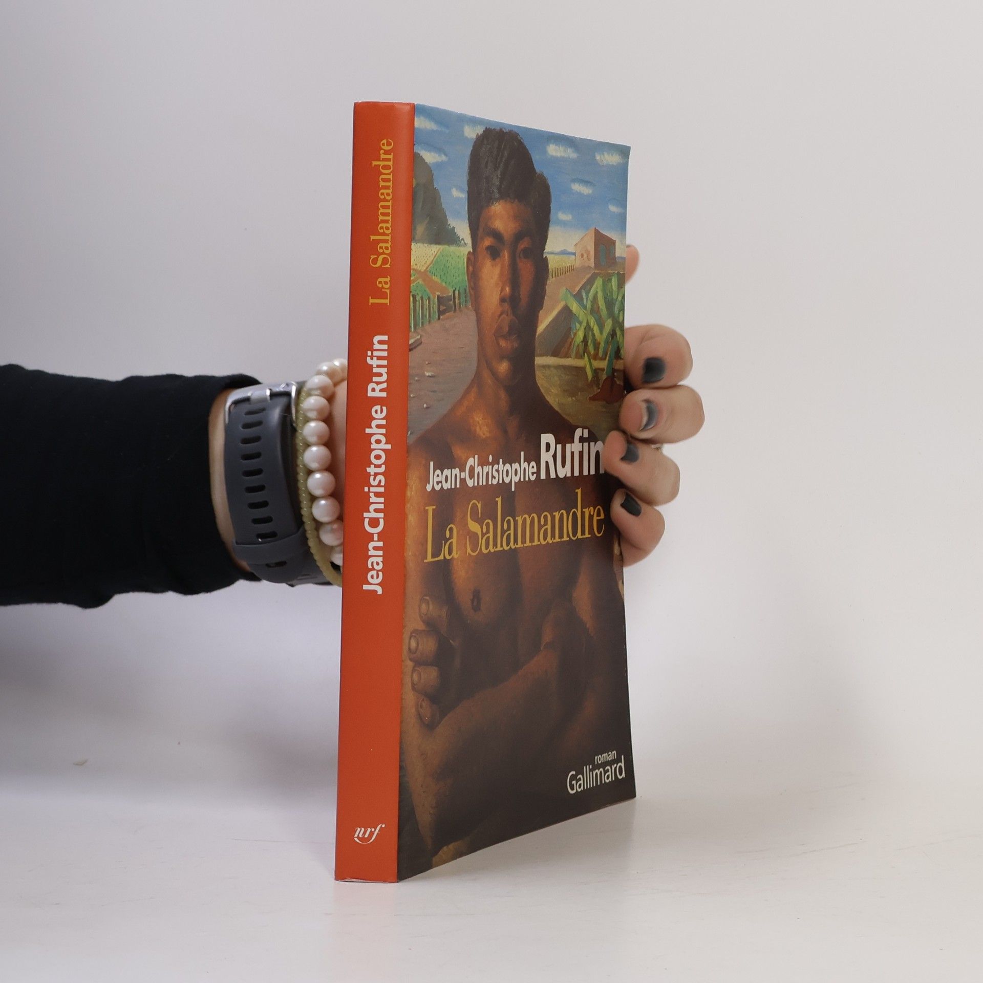 Jean Christophe Rufin La salamandre
