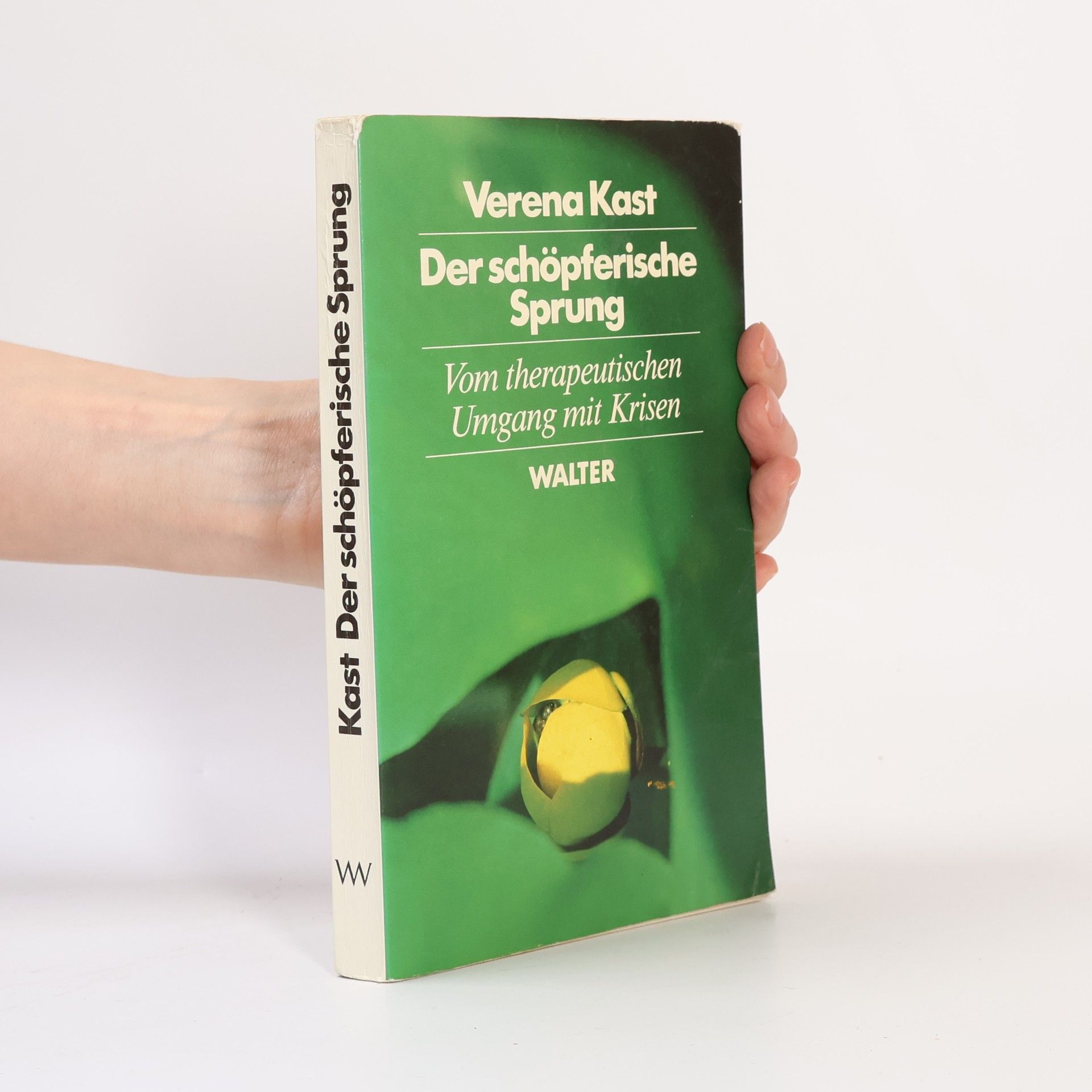 Verena Kast Der schöpferische Sprung