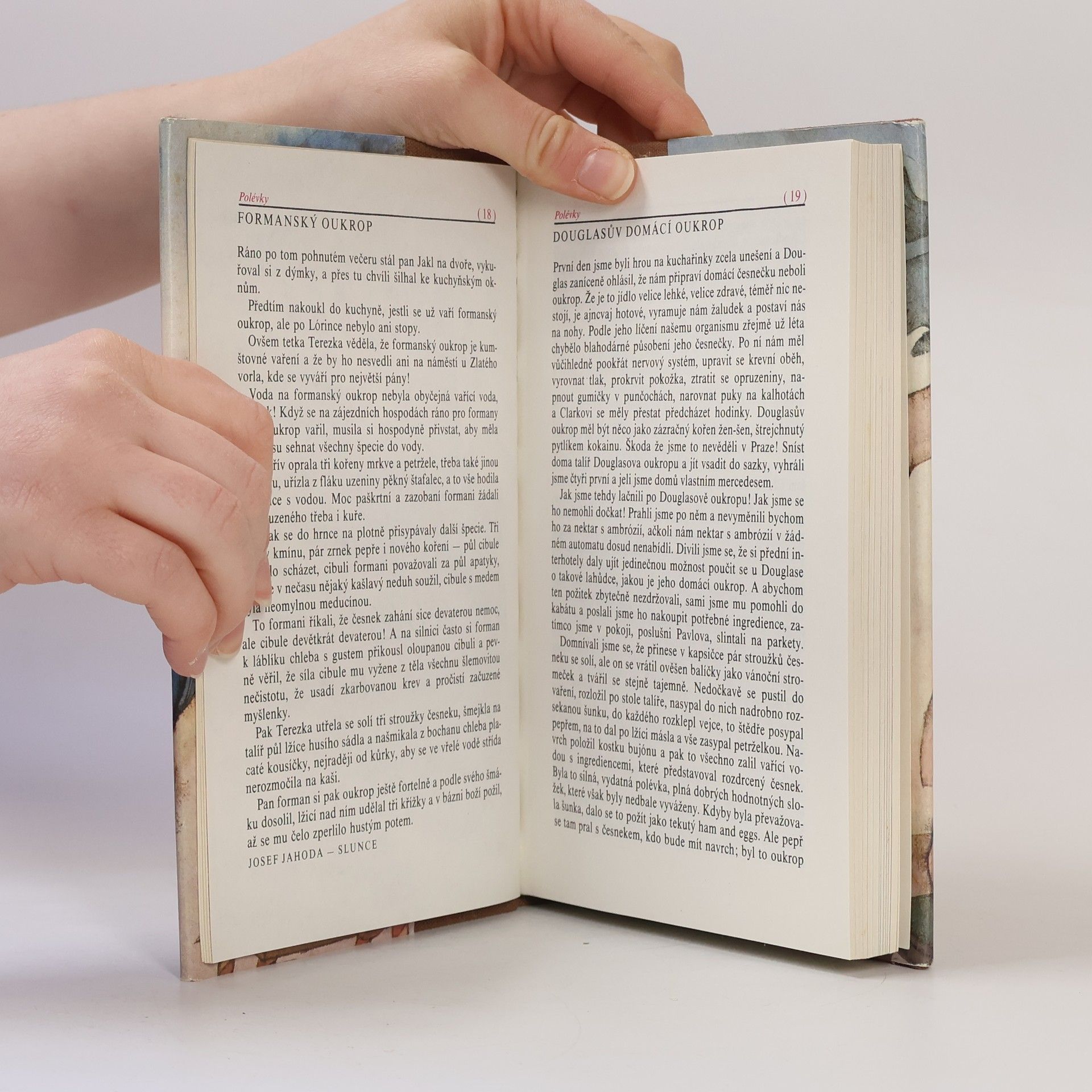 Jaroslava Jiskrová Kuchařské recepty vypsané z krásné literatury