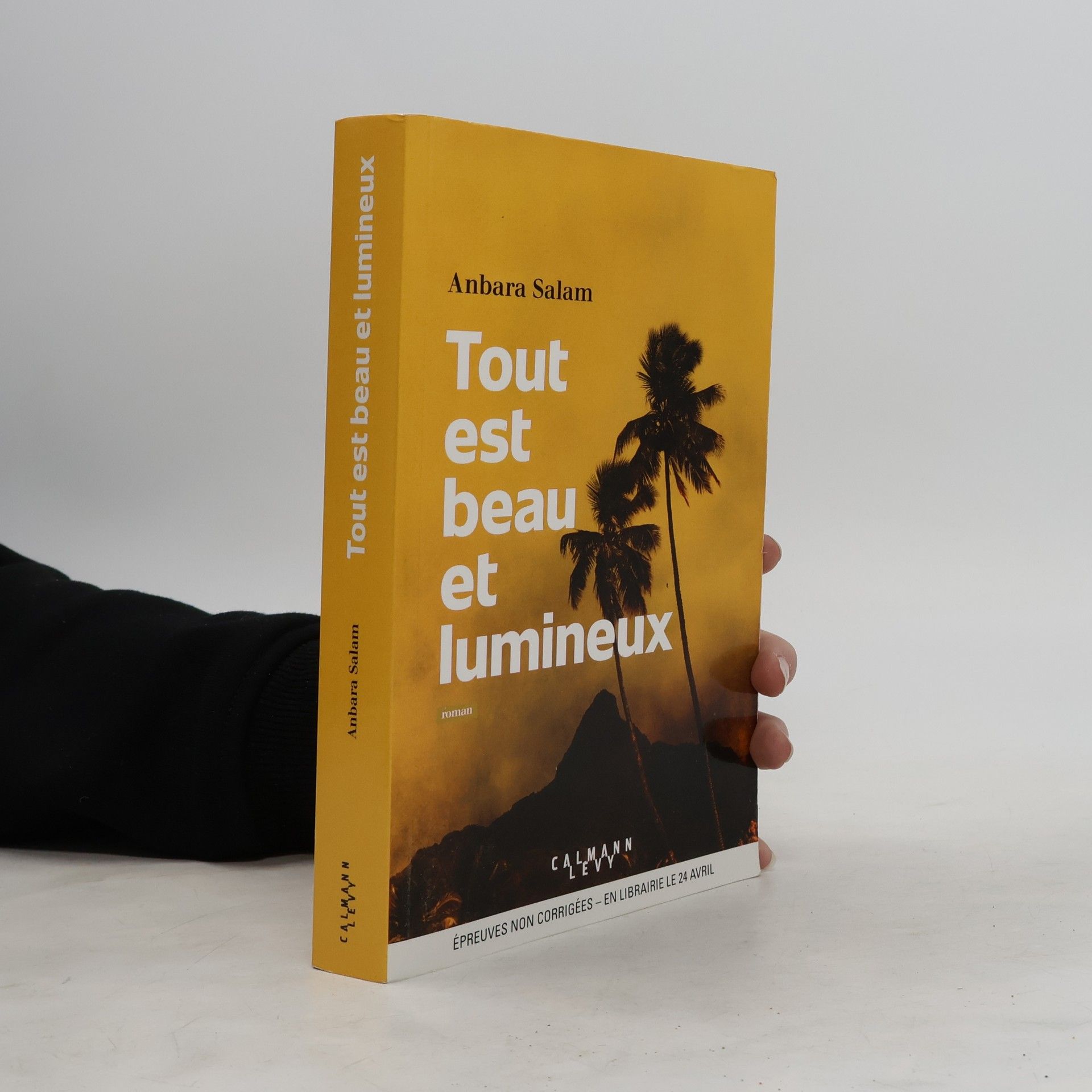 Anbara Salam Tout est beau et lumineux