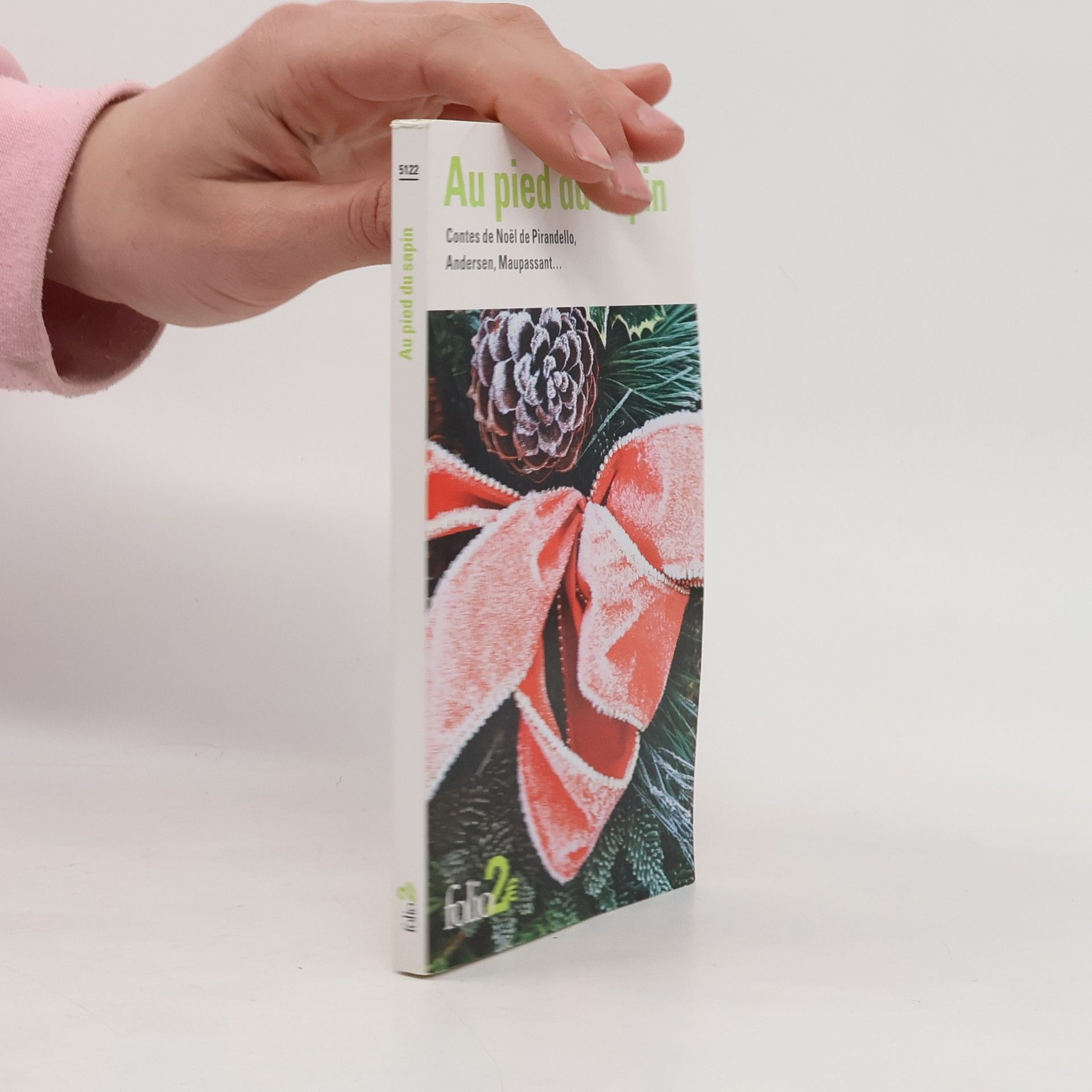 Kolektiv autorů Au pied du sapin