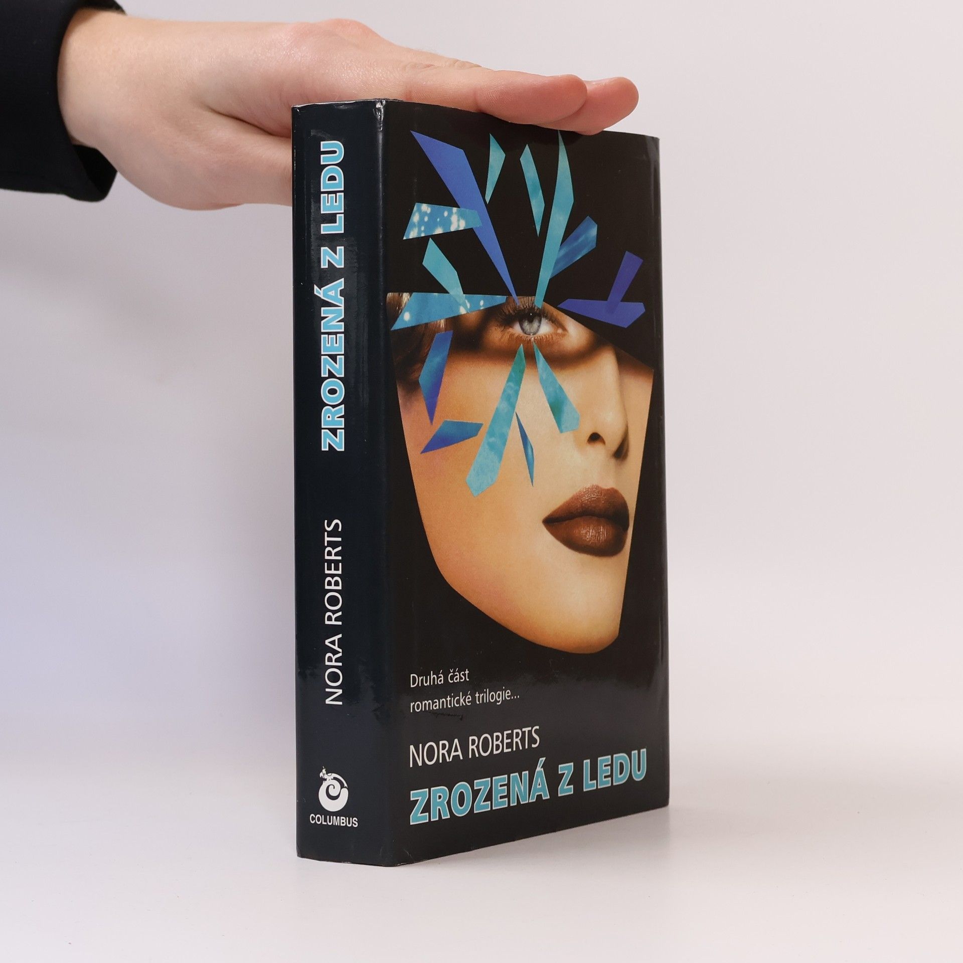 Nora Roberts Zrozená z ledu