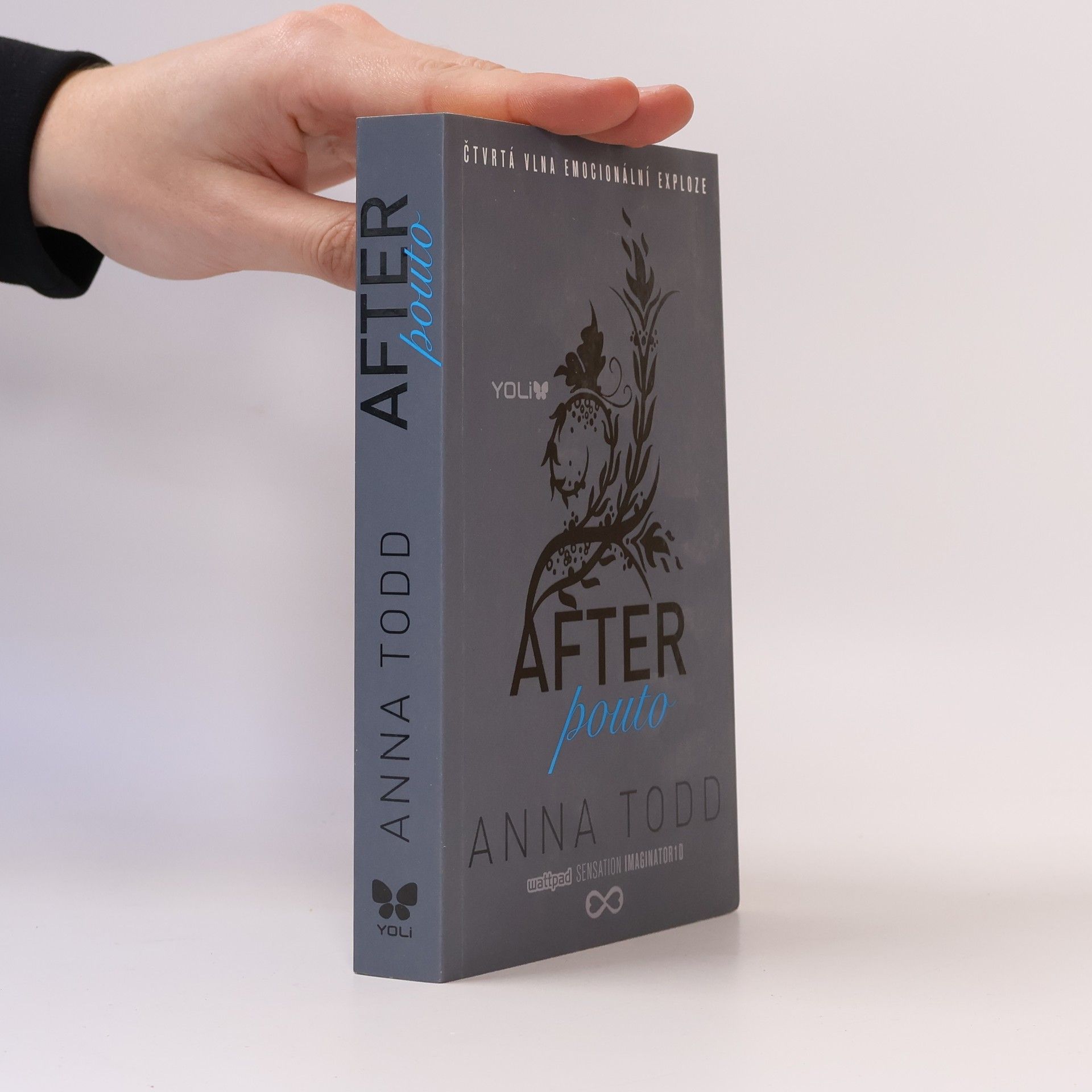 Anna Todd After. Pouto
