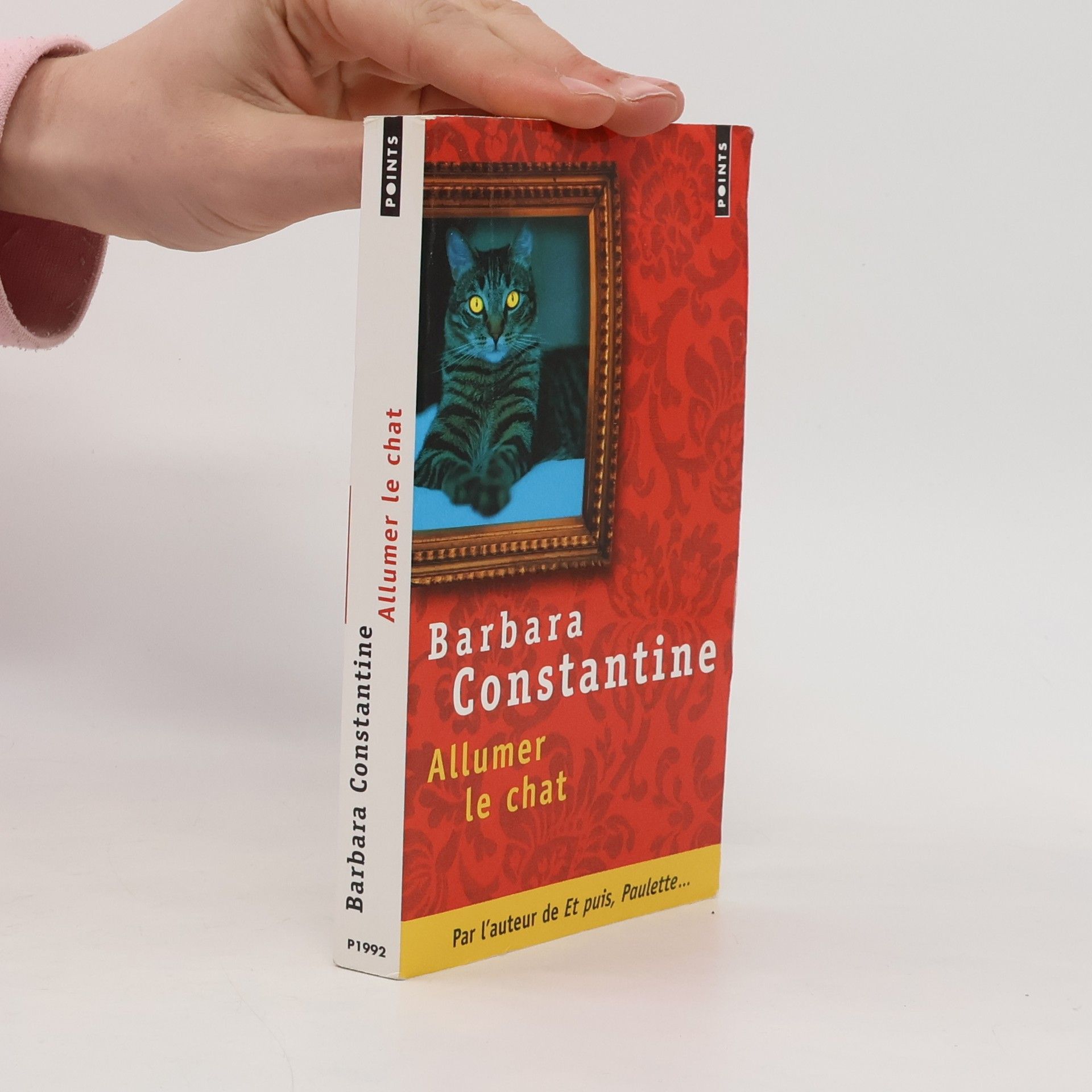 Barbara Constantine Allumer le chat