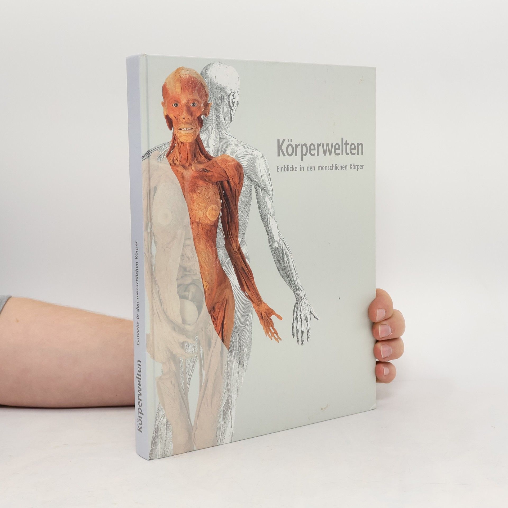 Kai Budde Körperwelten. Einblicke in den menschlichen Körper