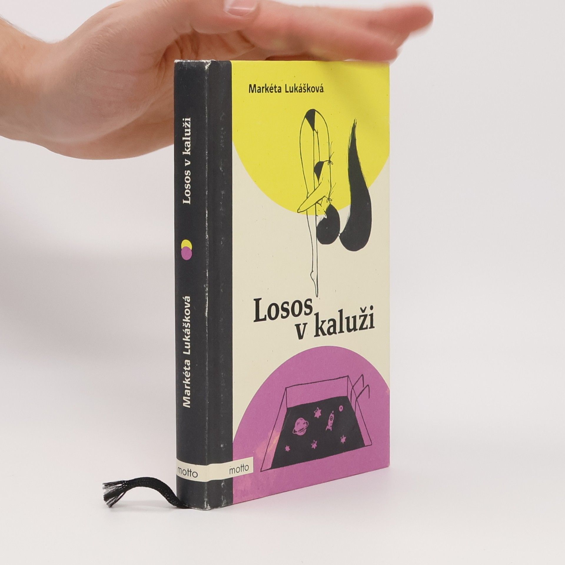 Markéta Lukášková Losos v kaluži