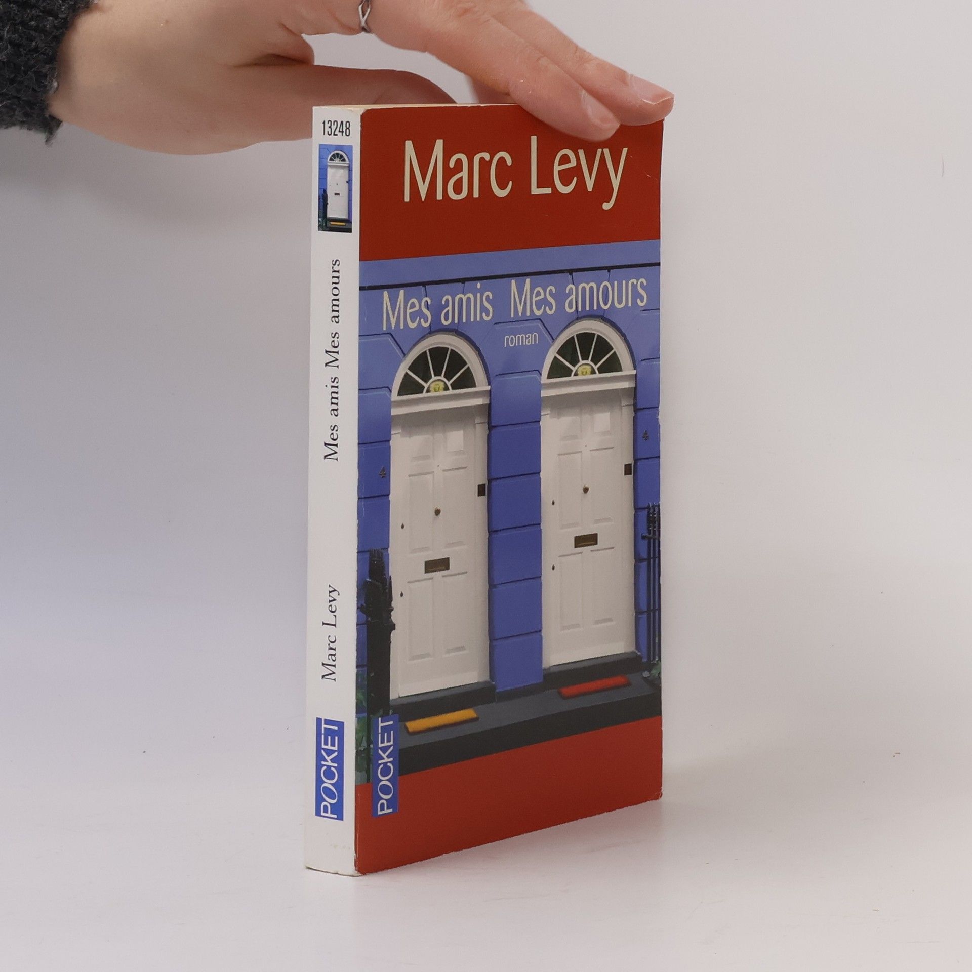 Marc Levy Mes amis, mes amours