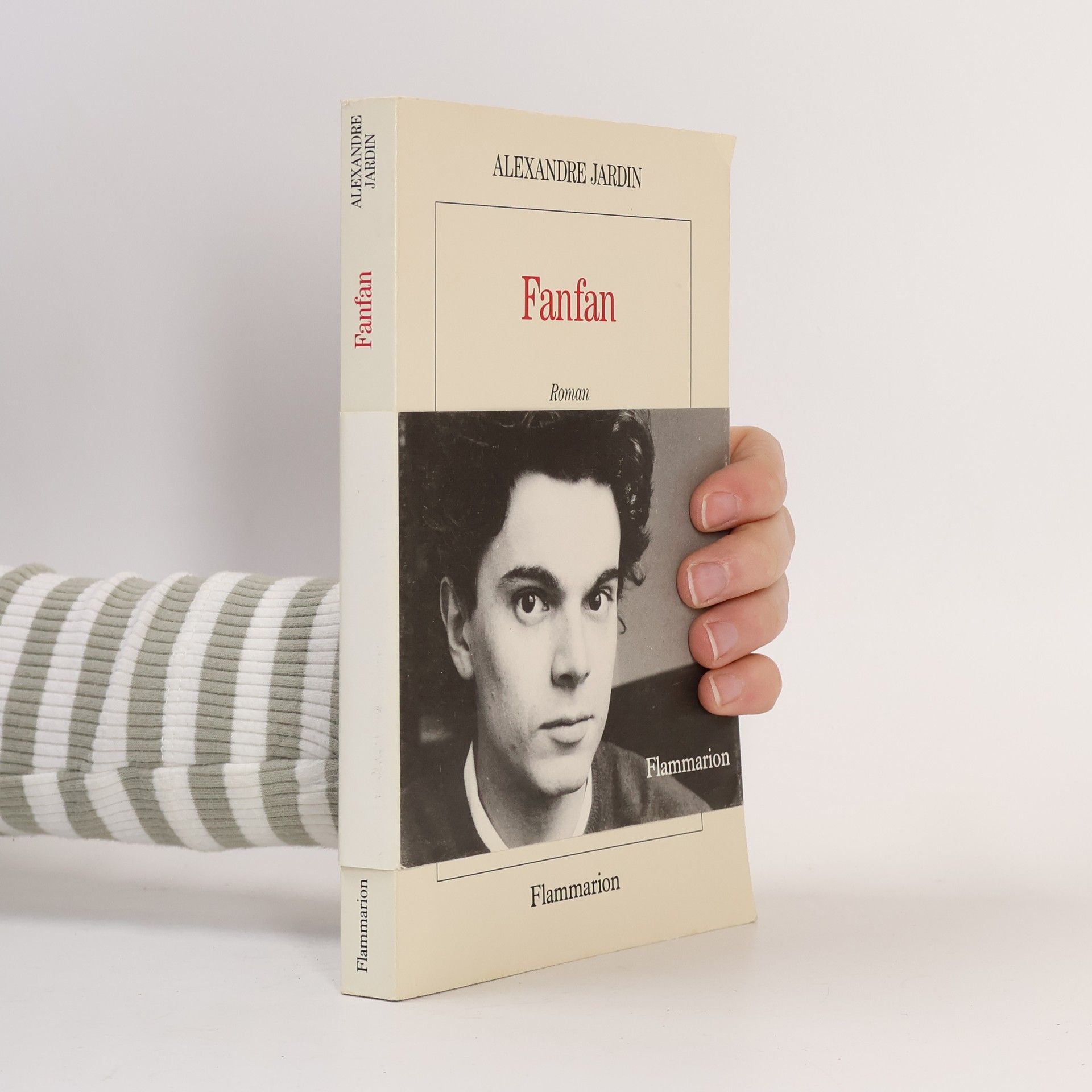 Alexandre Jardin Fanfan: Roman