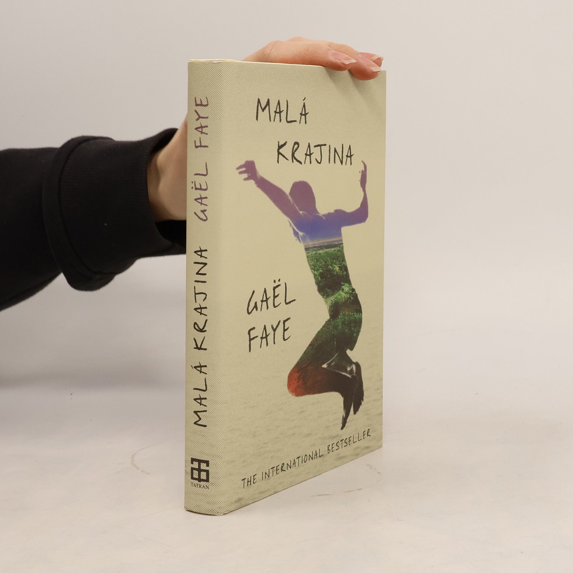 Gaël Faye Malá krajina