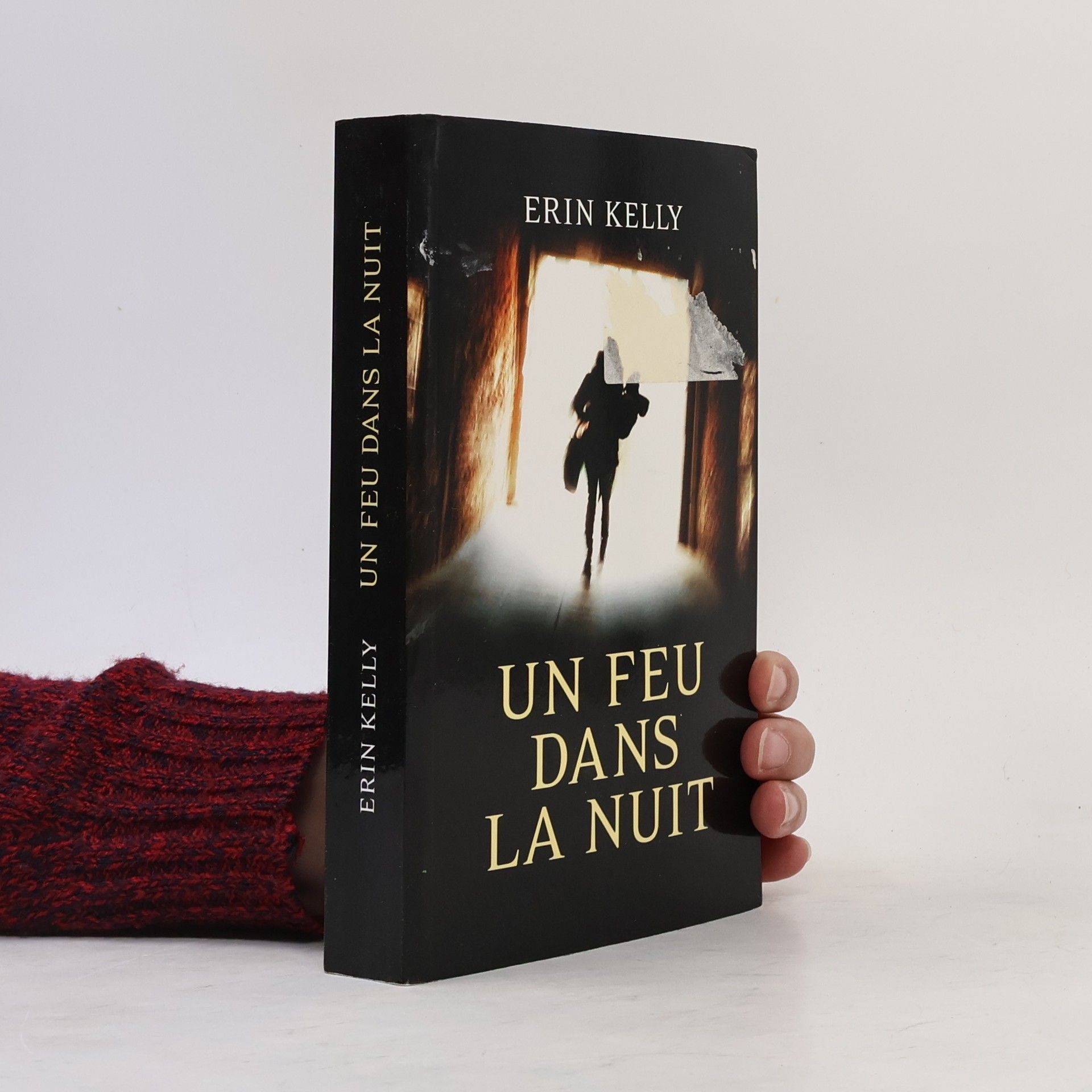 Erin Kelly Un feu dans la nuit