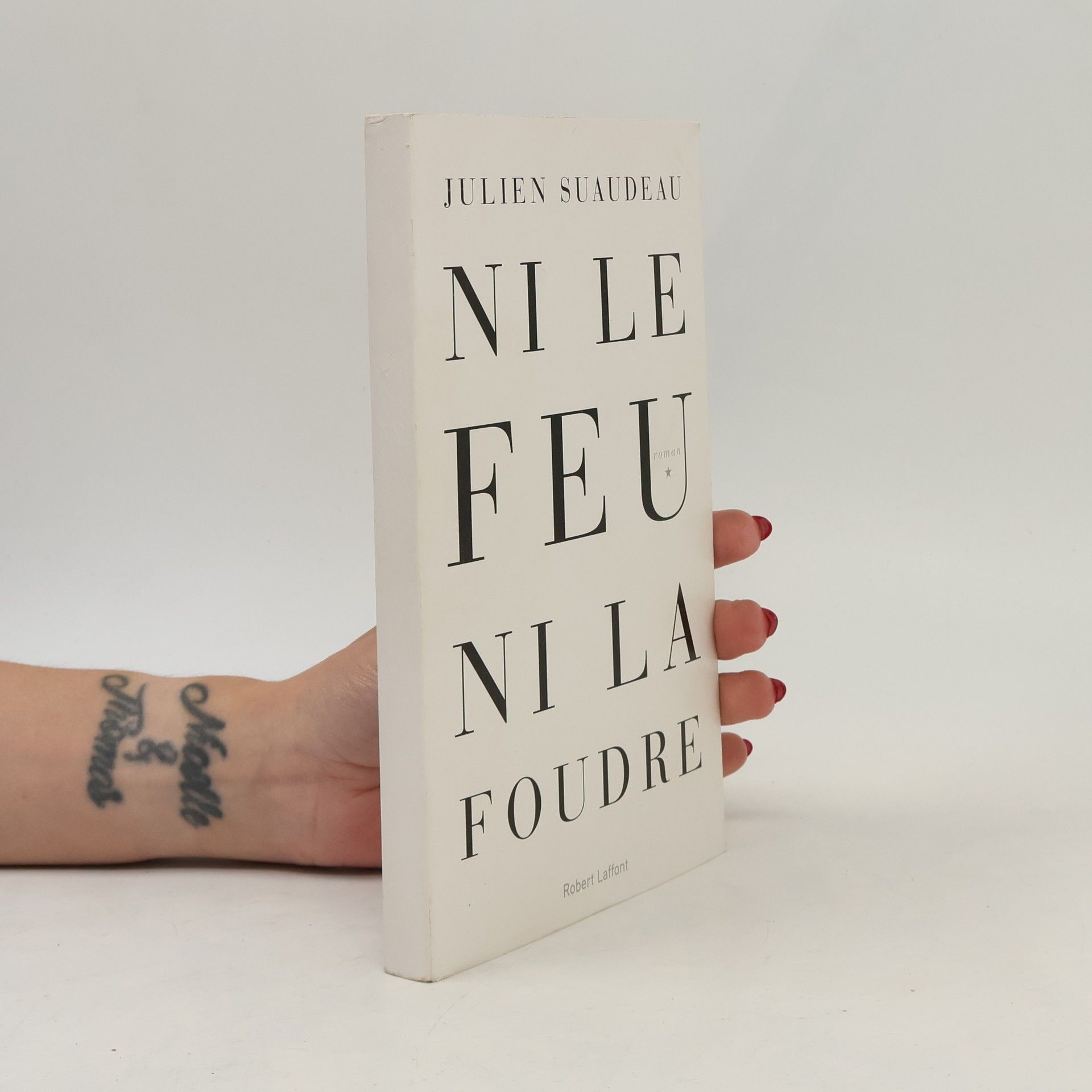 Julien Suaudeau Ni le feu ni la foudre