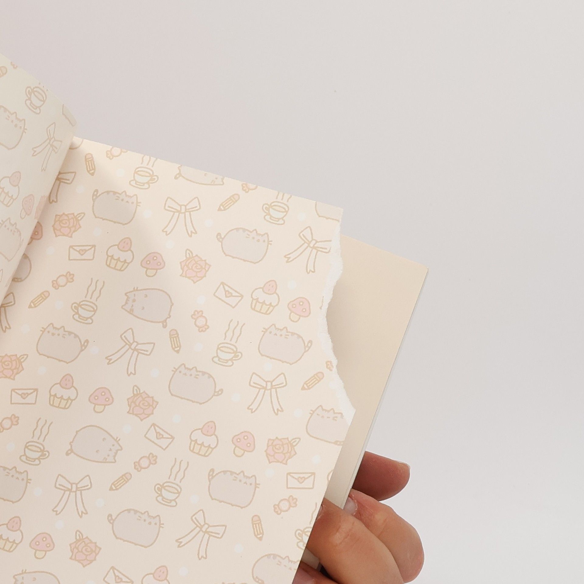 Claire Belton Pusheen. Já, košišta