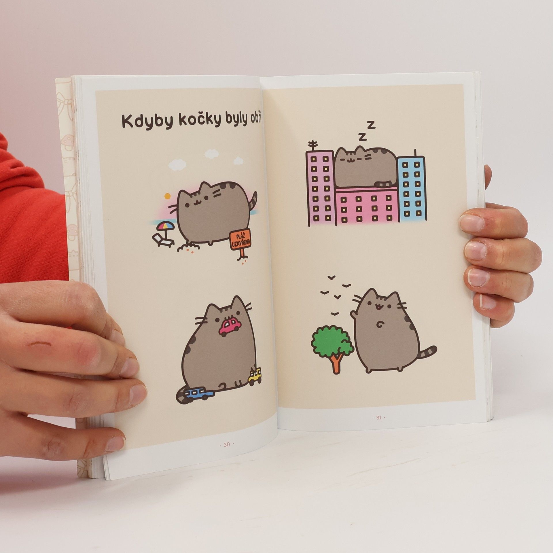Claire Belton Pusheen. Já, košišta