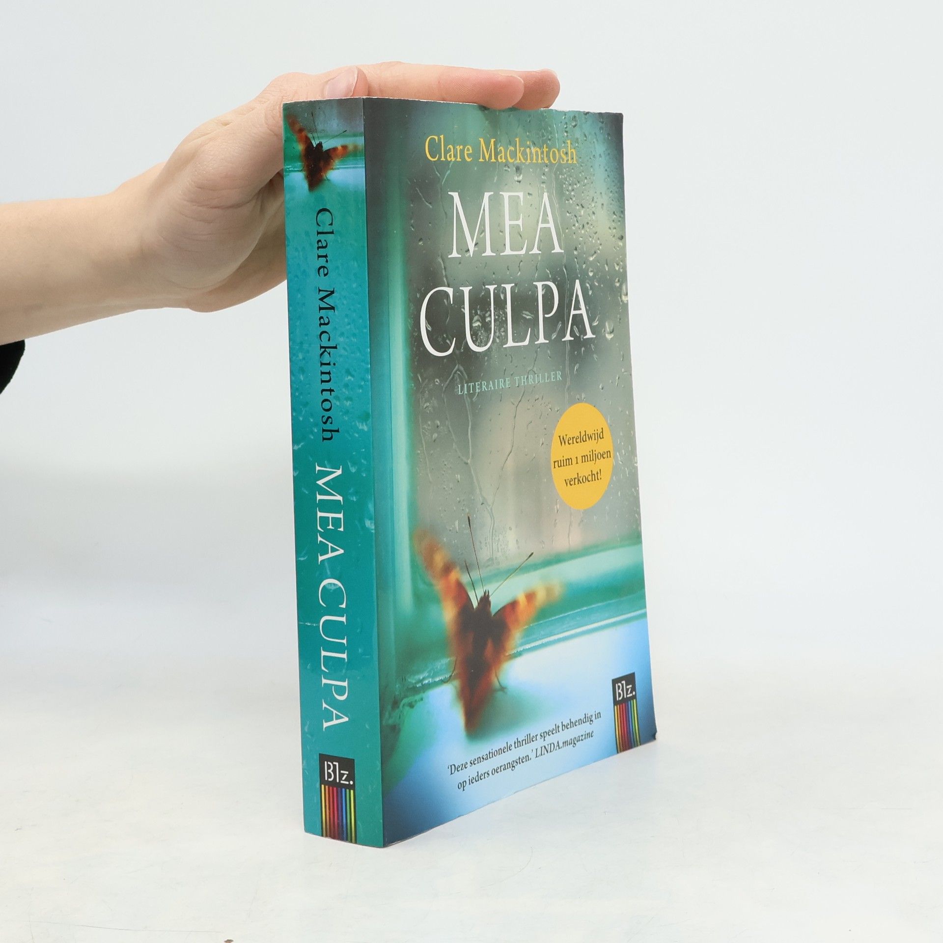 Clare Mackintosh Mea culpa