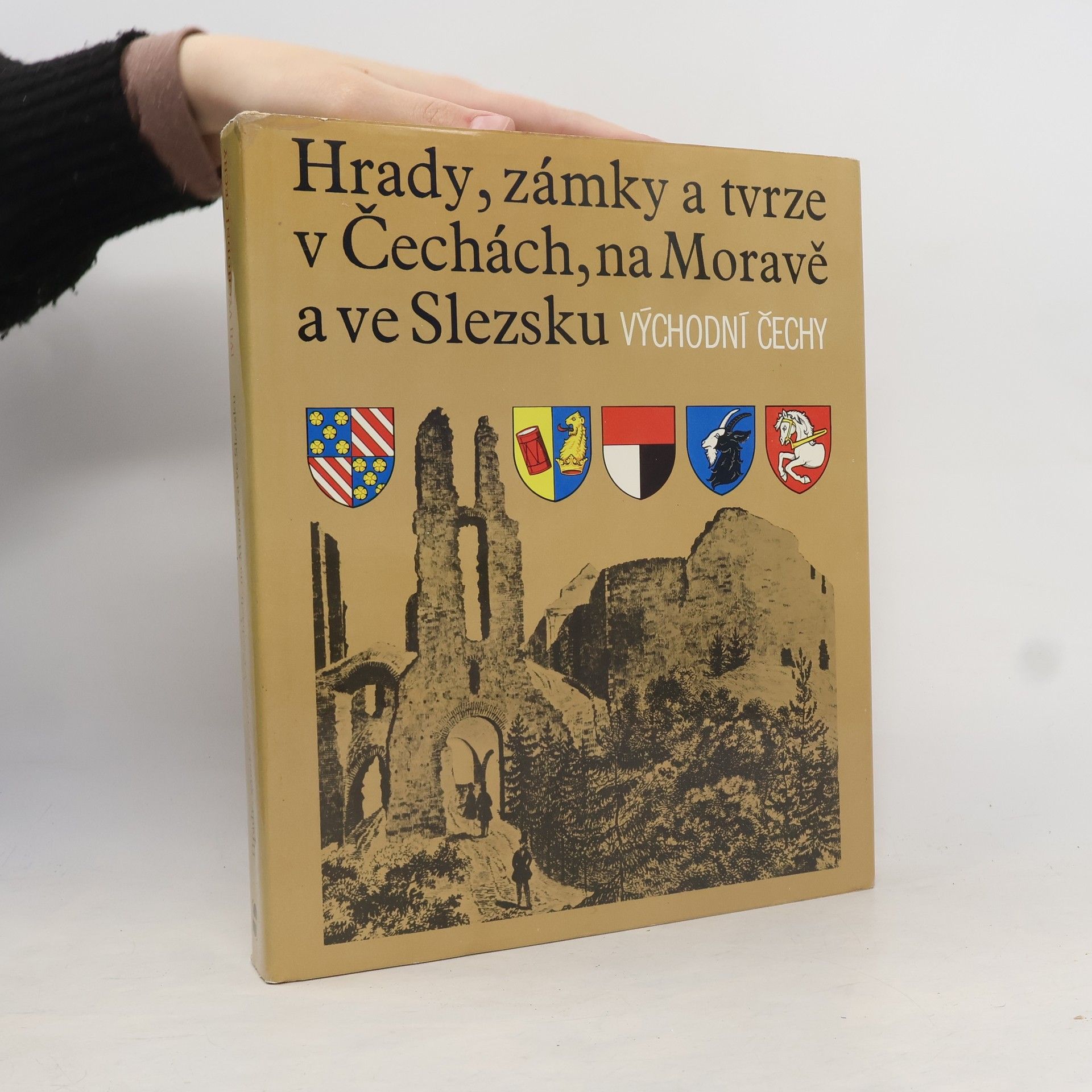 Tomáš Šimek Hrady, zámky a tvrze v Čechách na Moravě a ve Slezsku VI. Východní Čechy