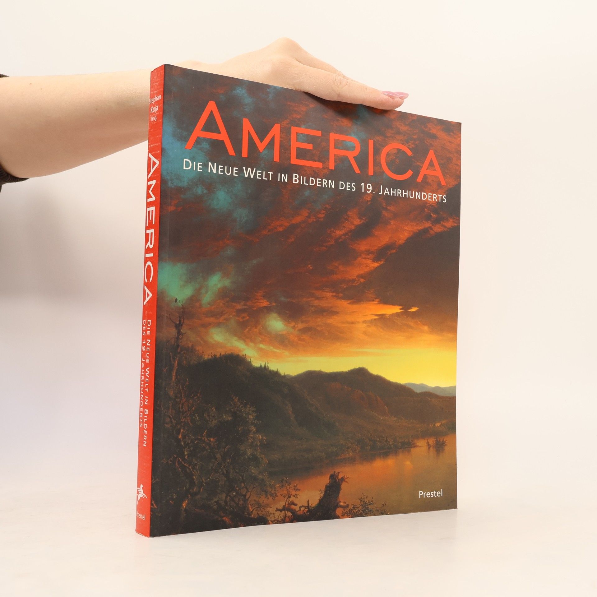 Stephan Koja America