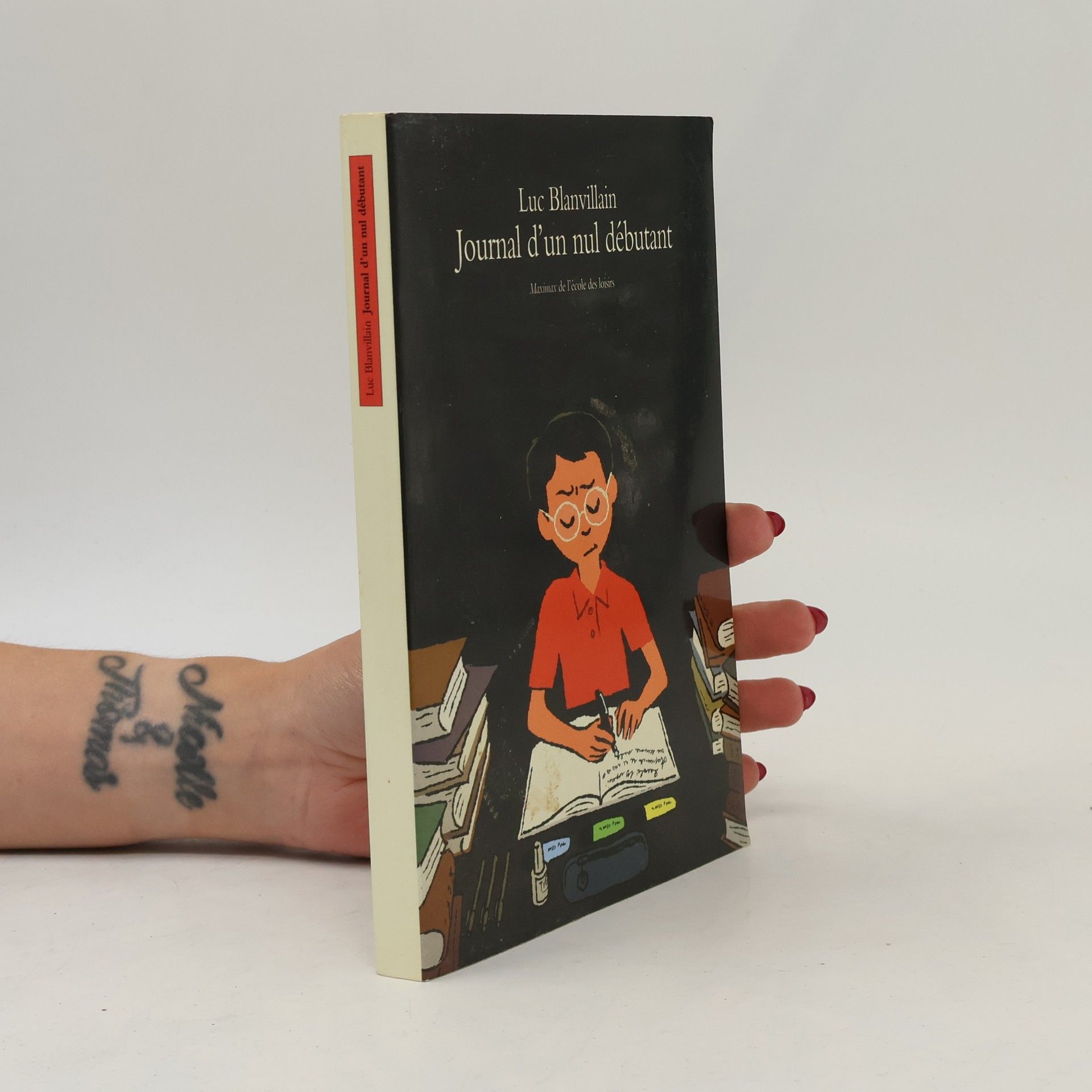 Luc Blanvillain Journal d'un nul débutant