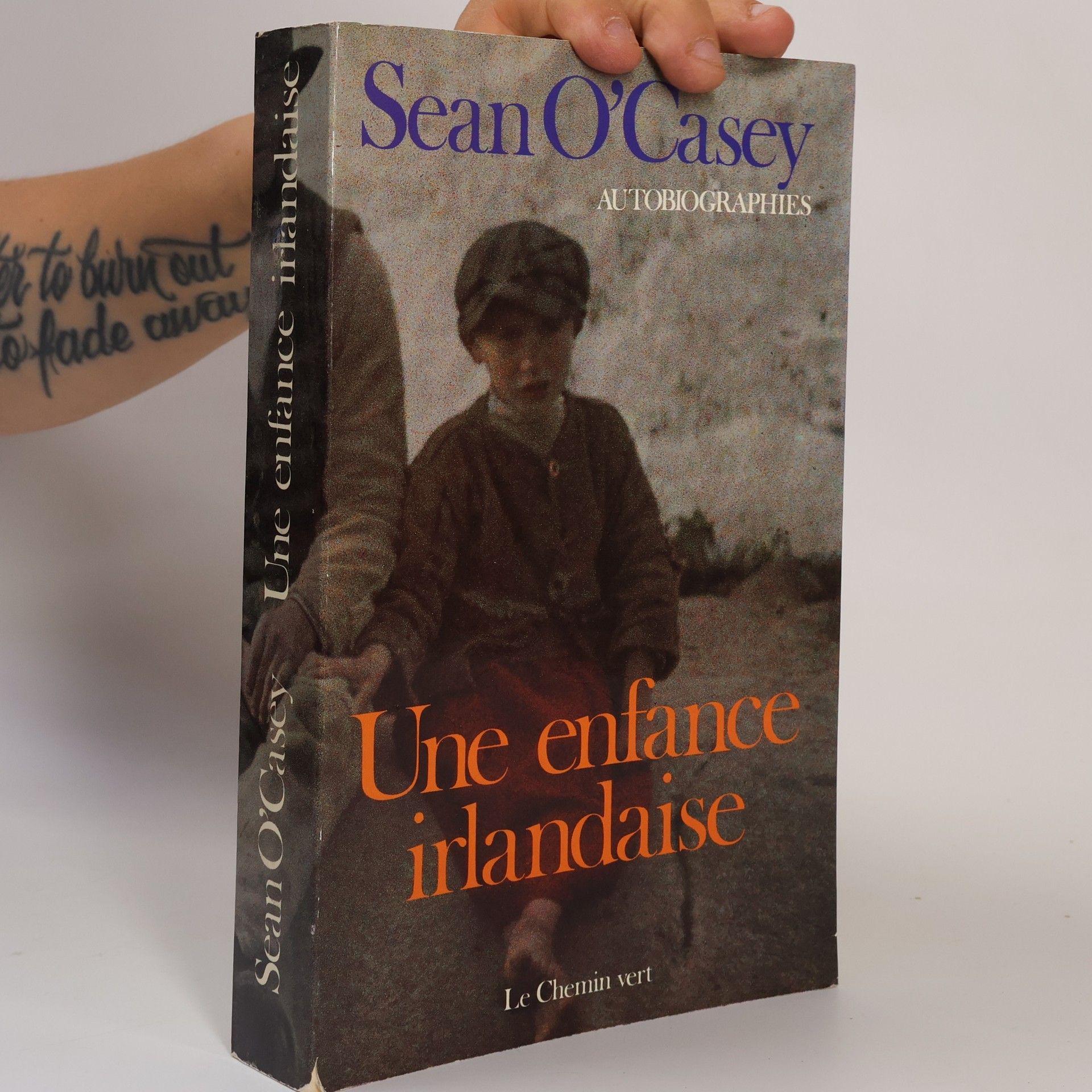 Une enfance irlandaise