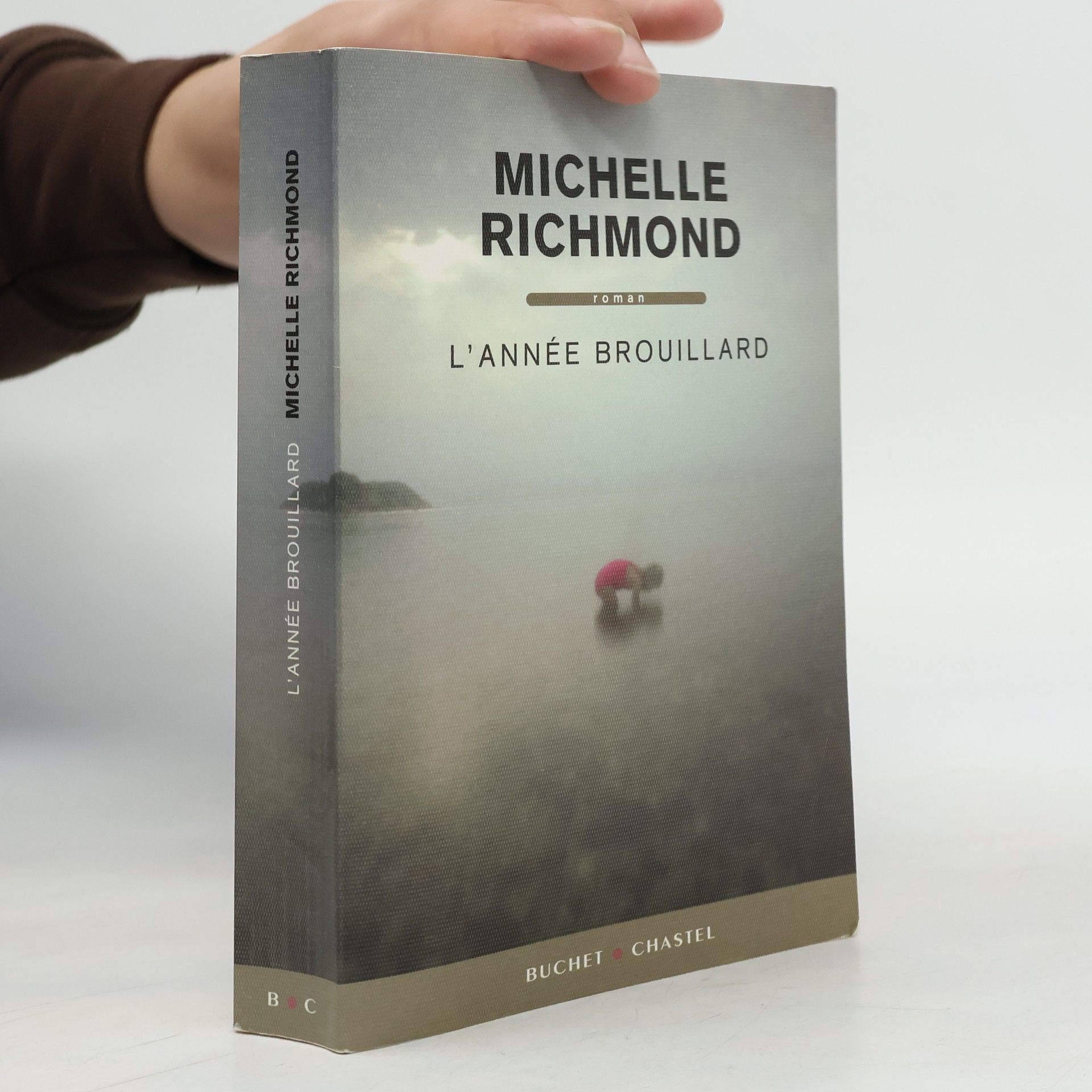 Michelle Richmond L'année brouillard
