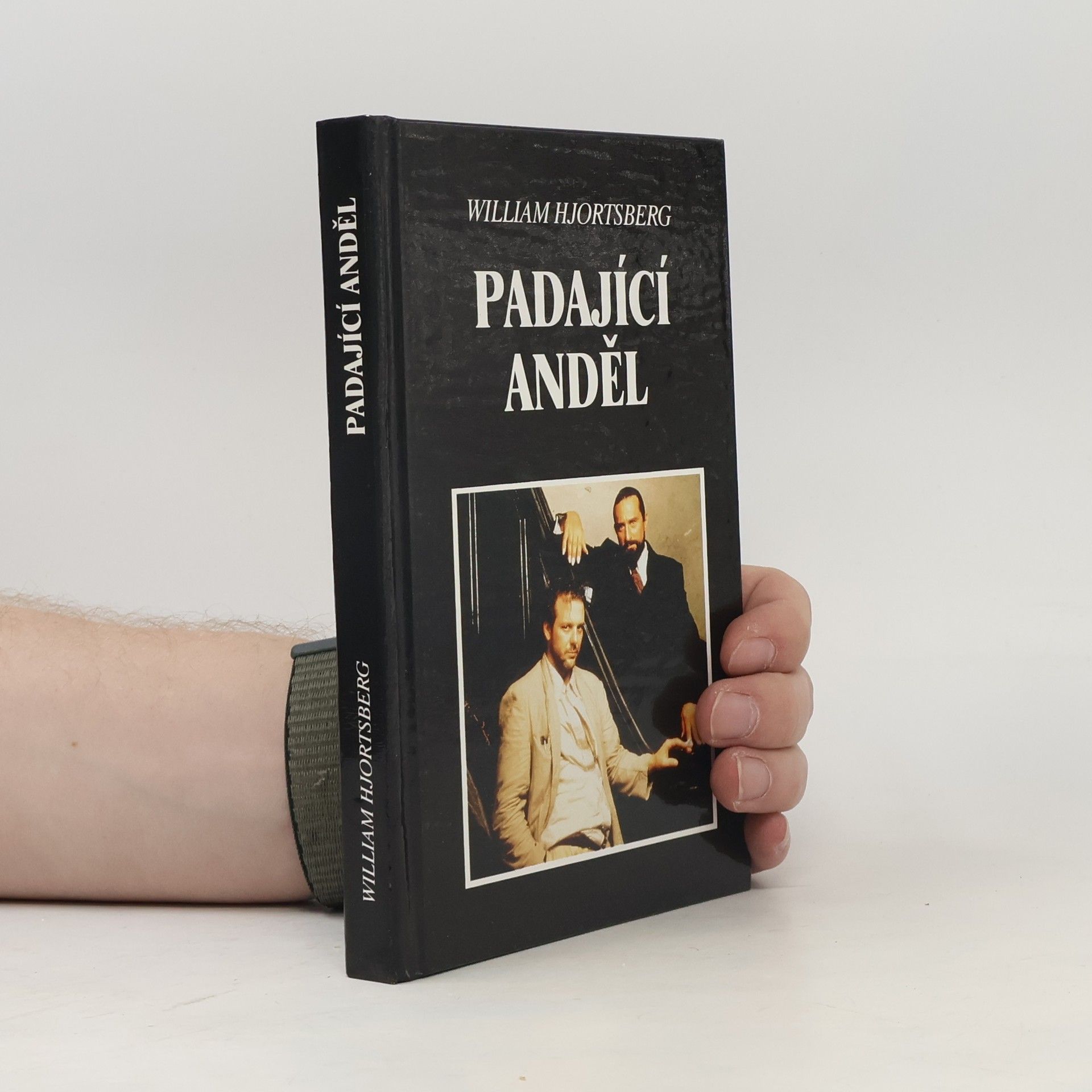 William Hjortsberg Padající anděl