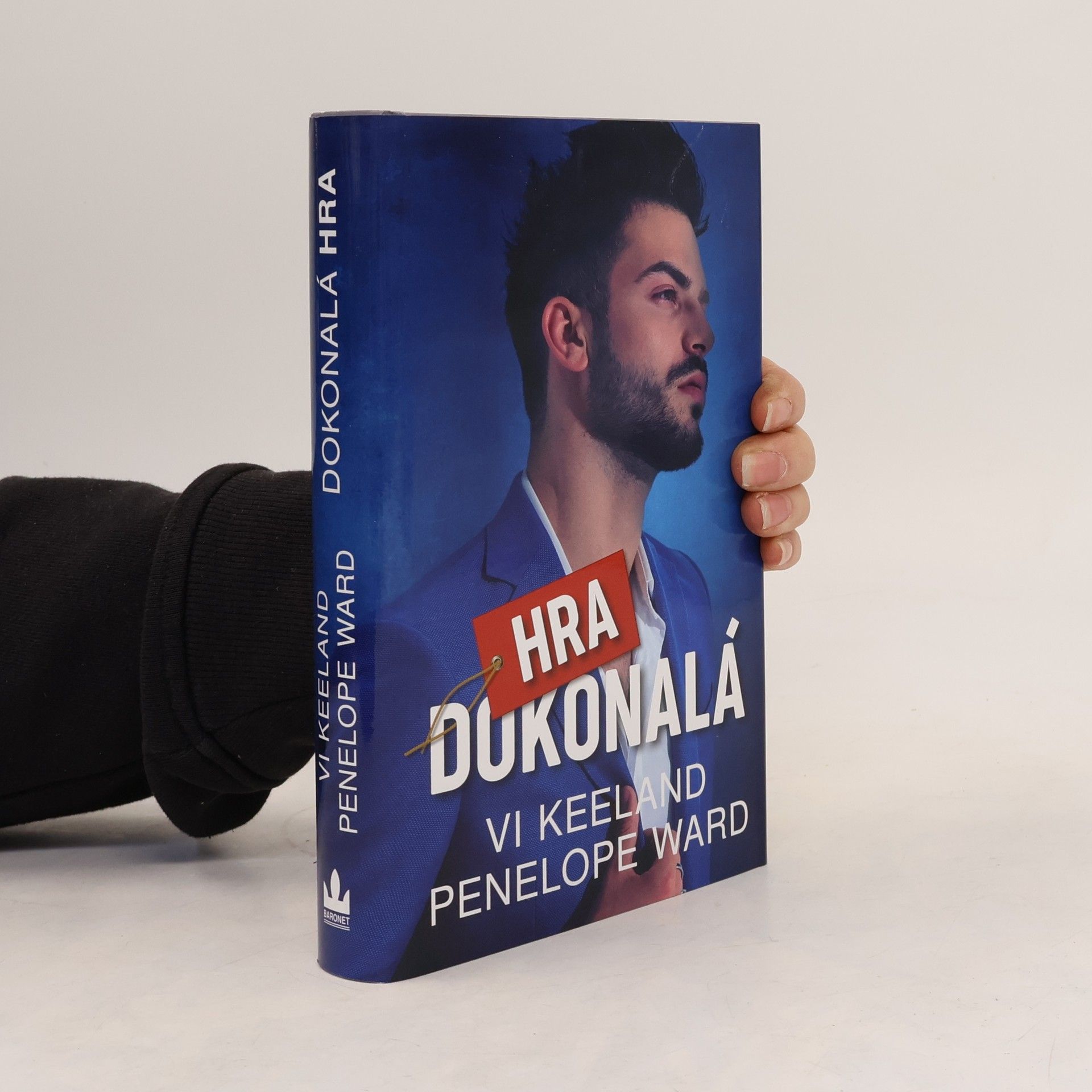 Vi Keeland Dokonalá hra