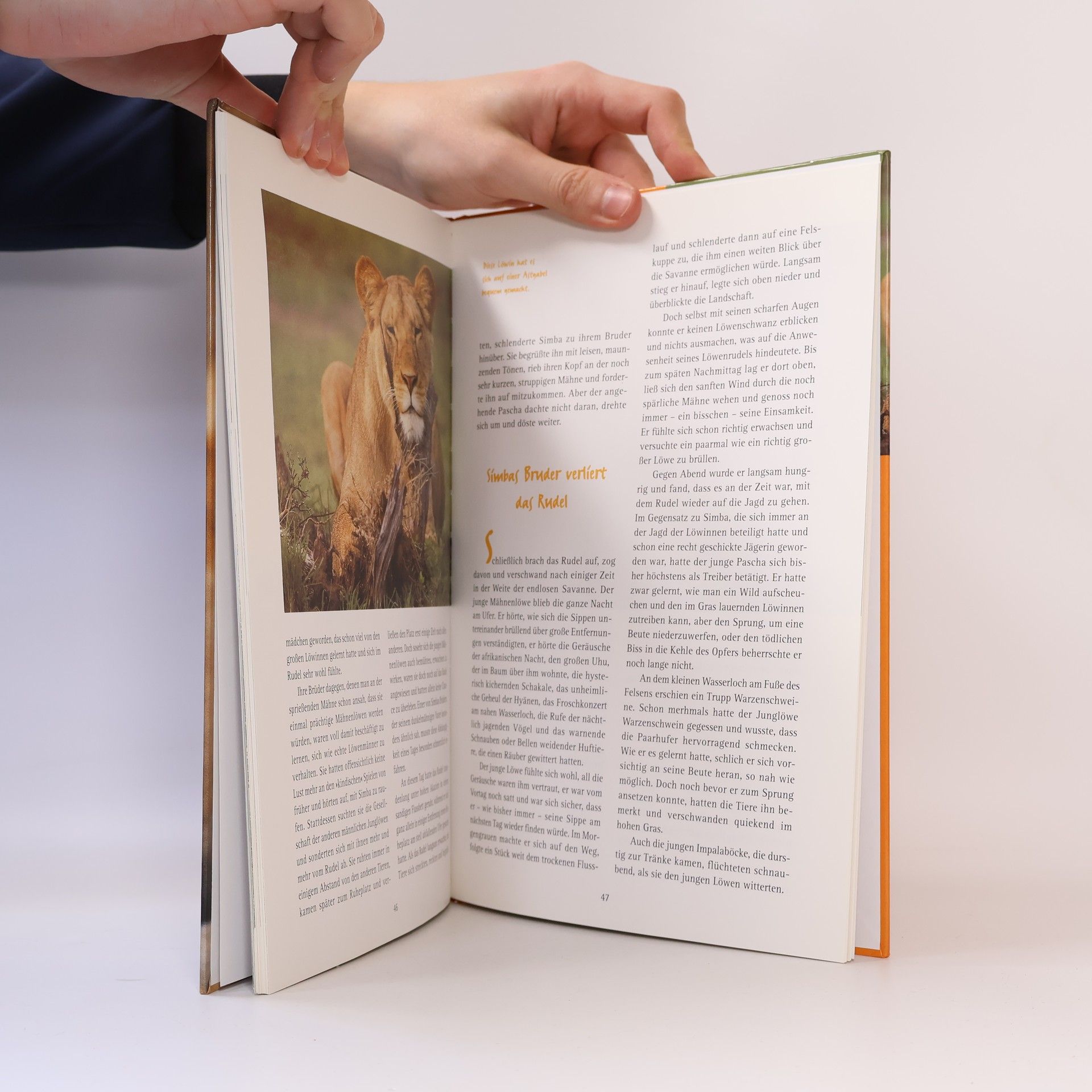 Ursula Dolder Simba das Löwenmädchen